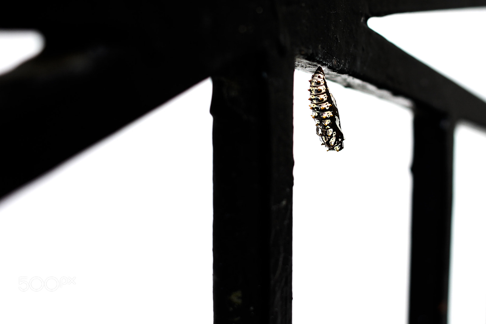 Canon EF 28mm F1.8 USM sample photo. Casulo photography
