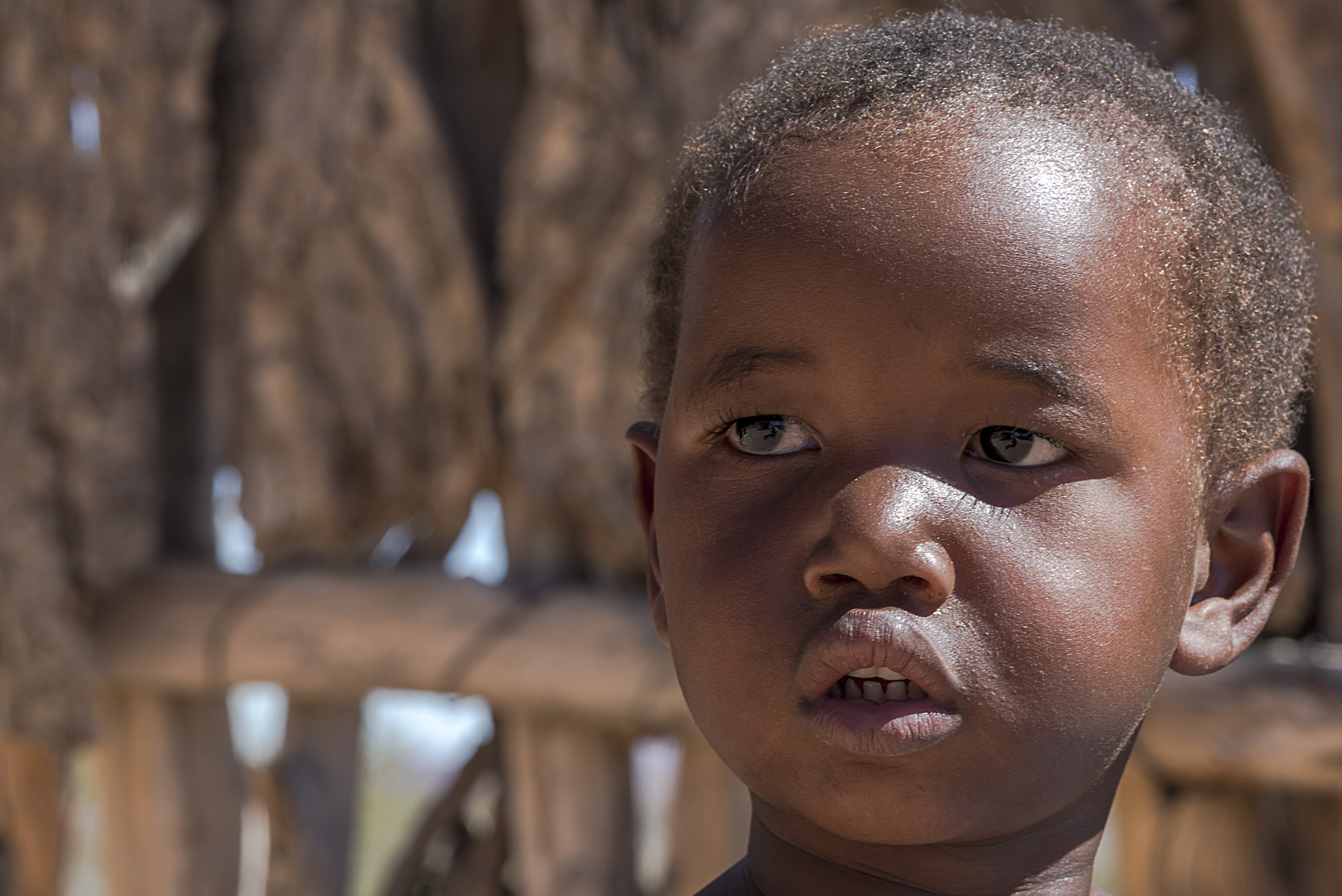 Sony a7S II + Sony 70-400mm F4-5.6 G SSM II sample photo. Namibia photography