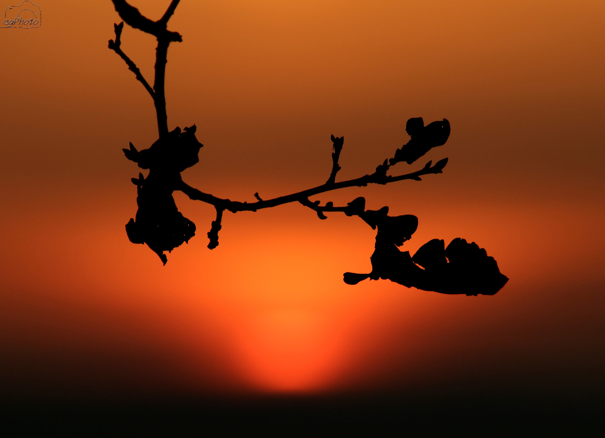 Canon EF 70-200mm F2.8L USM sample photo. Silhouette photography