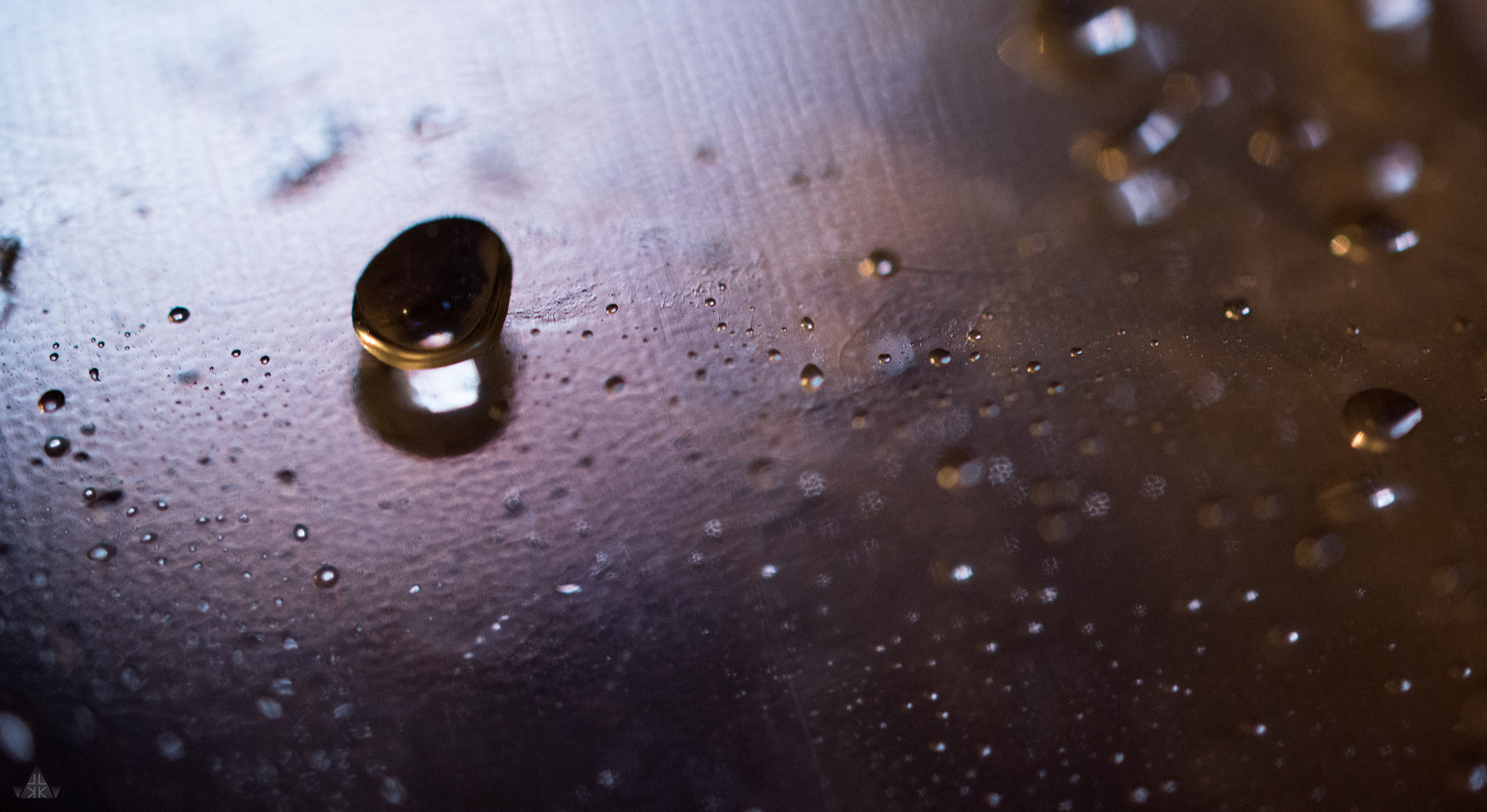 Nikon AF-S DX Micro Nikkor 40mm F2.8 sample photo. Liquid crystal world // macrocosmos photography