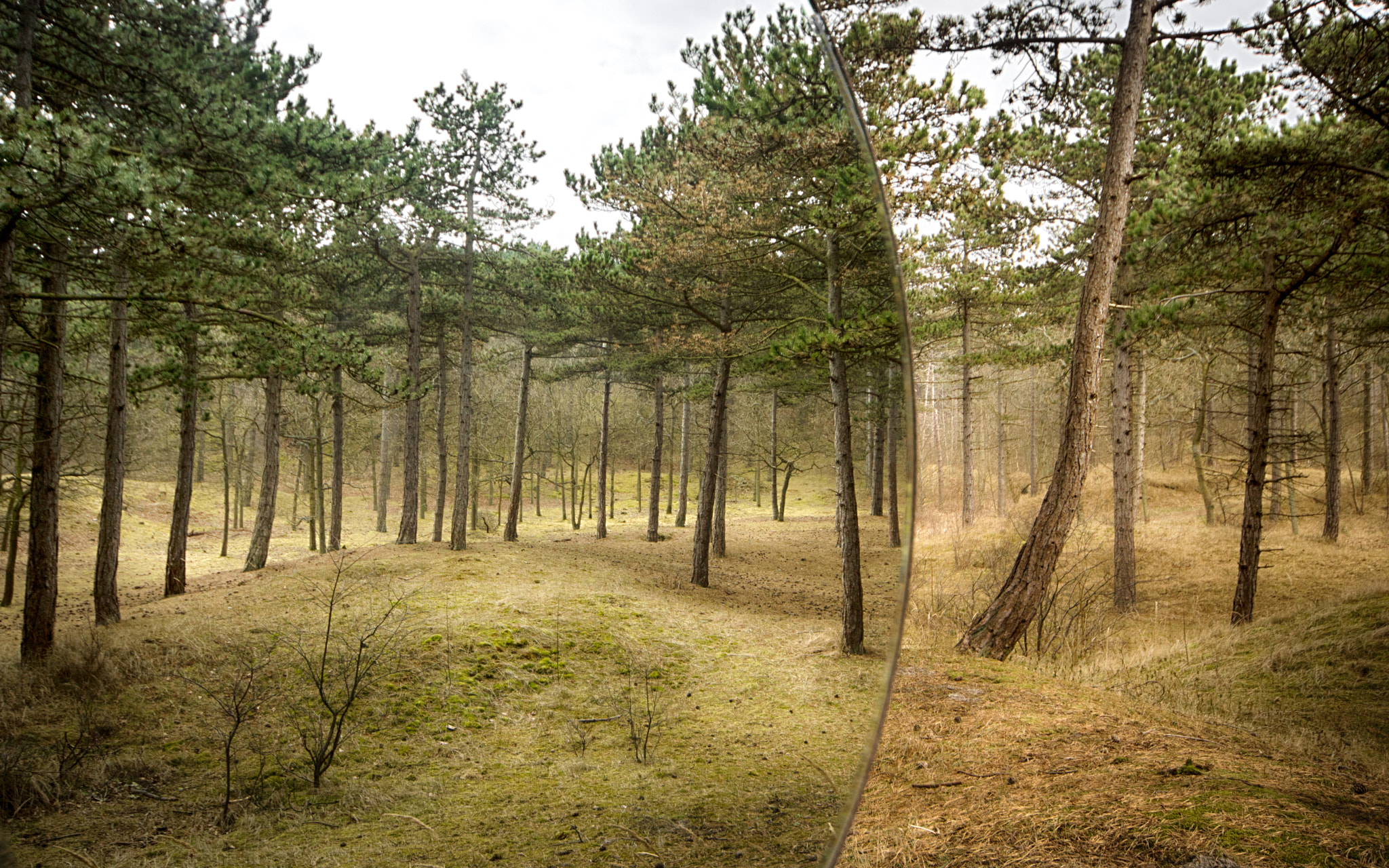 Canon EOS 750D (EOS Rebel T6i / EOS Kiss X8i) + Sigma 10-20mm F4-5.6 EX DC HSM sample photo. Two layers of wood photography