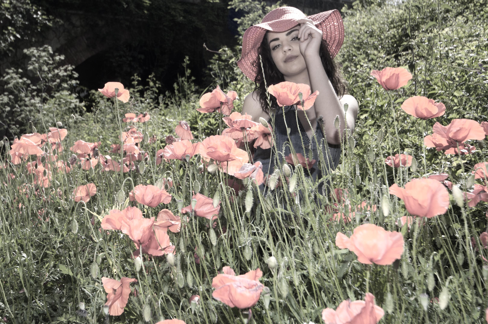 Sigma 12-24mm F4.5-5.6 EX DG Aspherical HSM sample photo. Pink poppies photography