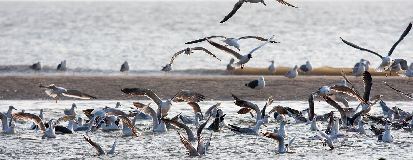 Canon EF 70-200mm F2.8L USM sample photo. Fishing time! photography