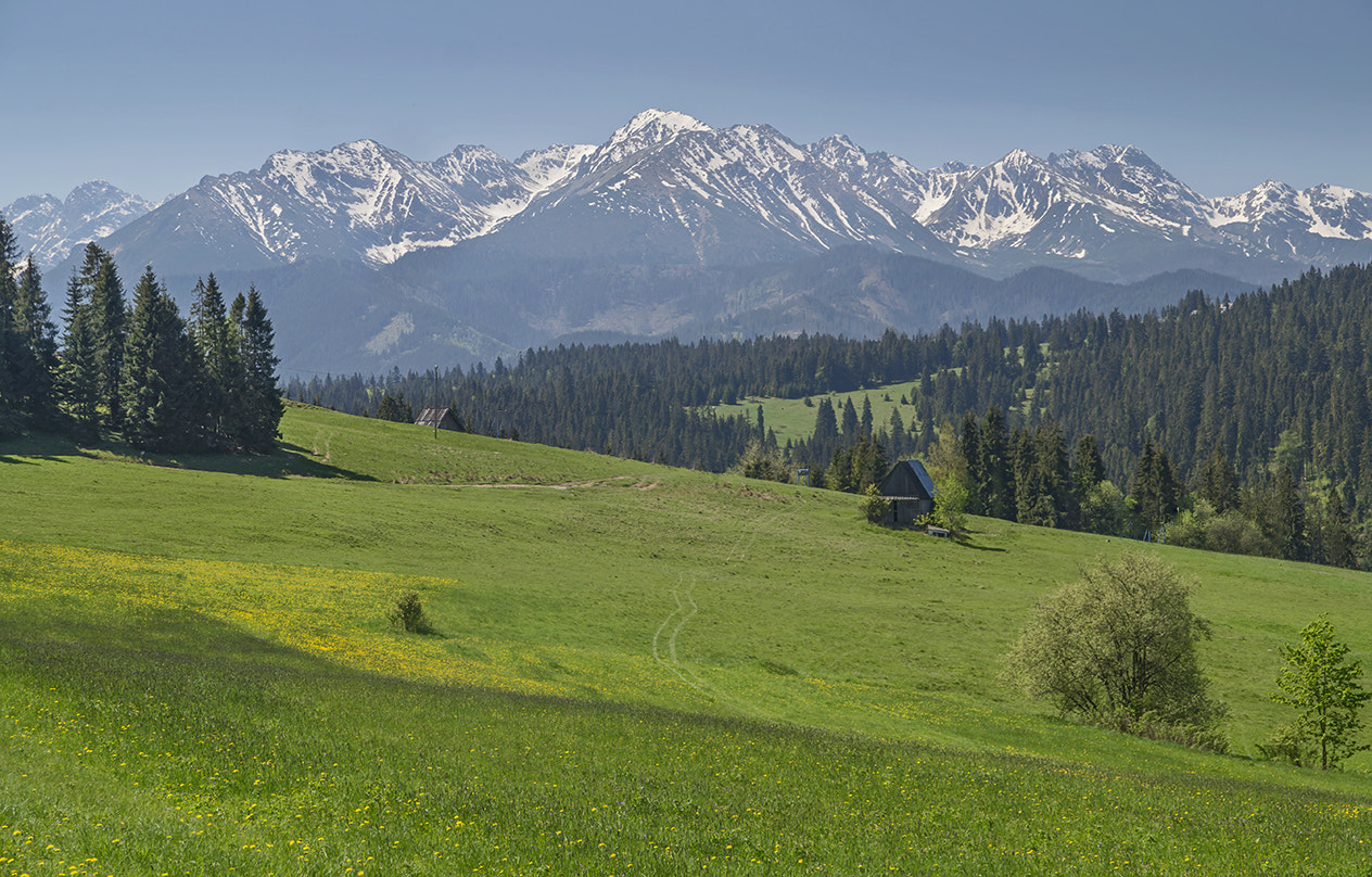 Sony SLT-A58 + Sigma 17-70mm F2.8-4.5 (D) sample photo. Tatry photography