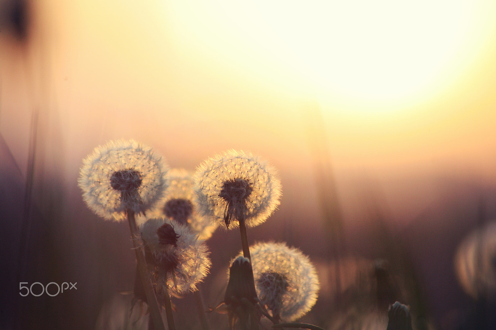 Canon EOS 5D sample photo. Sunset photography