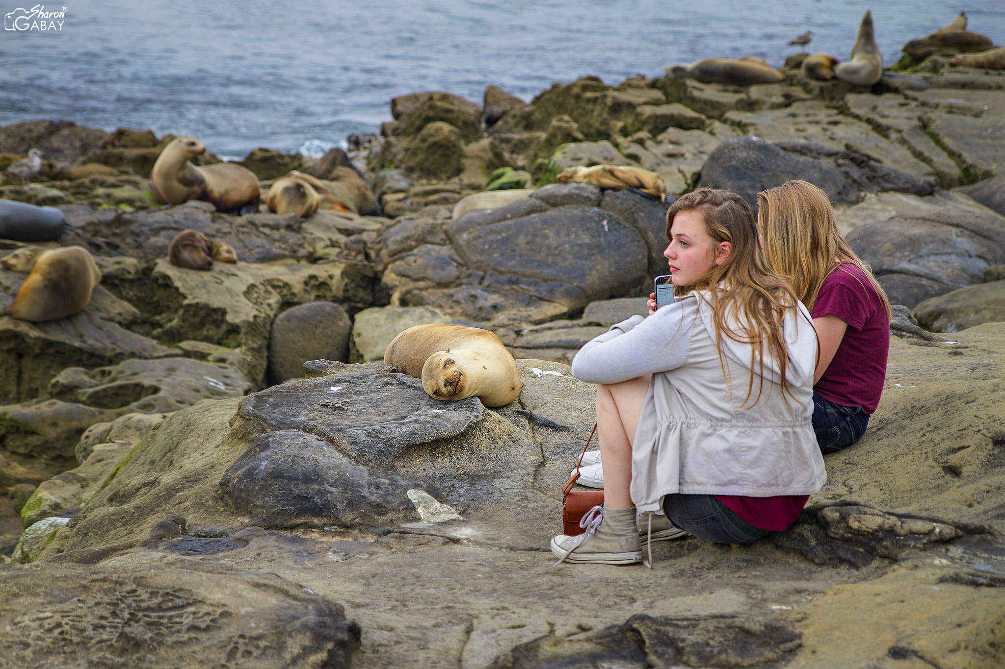 Canon EF-S 17-55mm F2.8 IS USM sample photo. La jolla photography