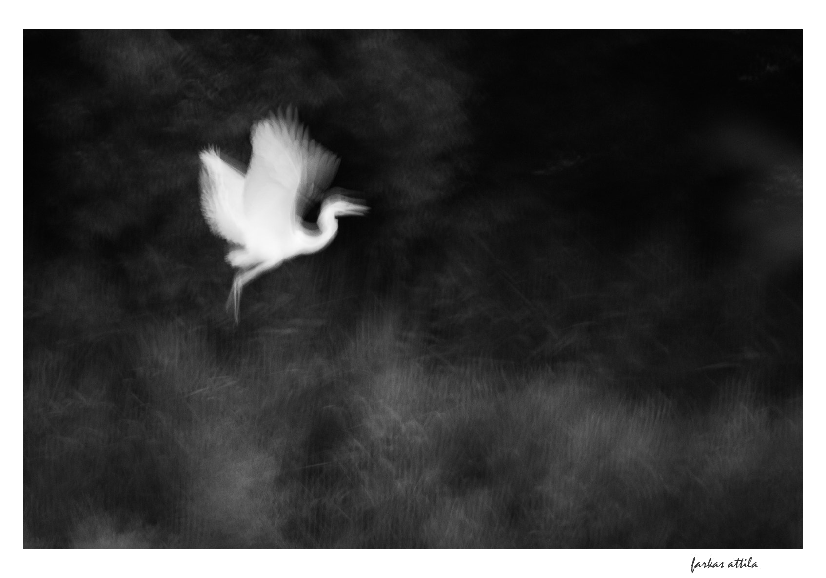 Nikon D60 sample photo. Angel... photography