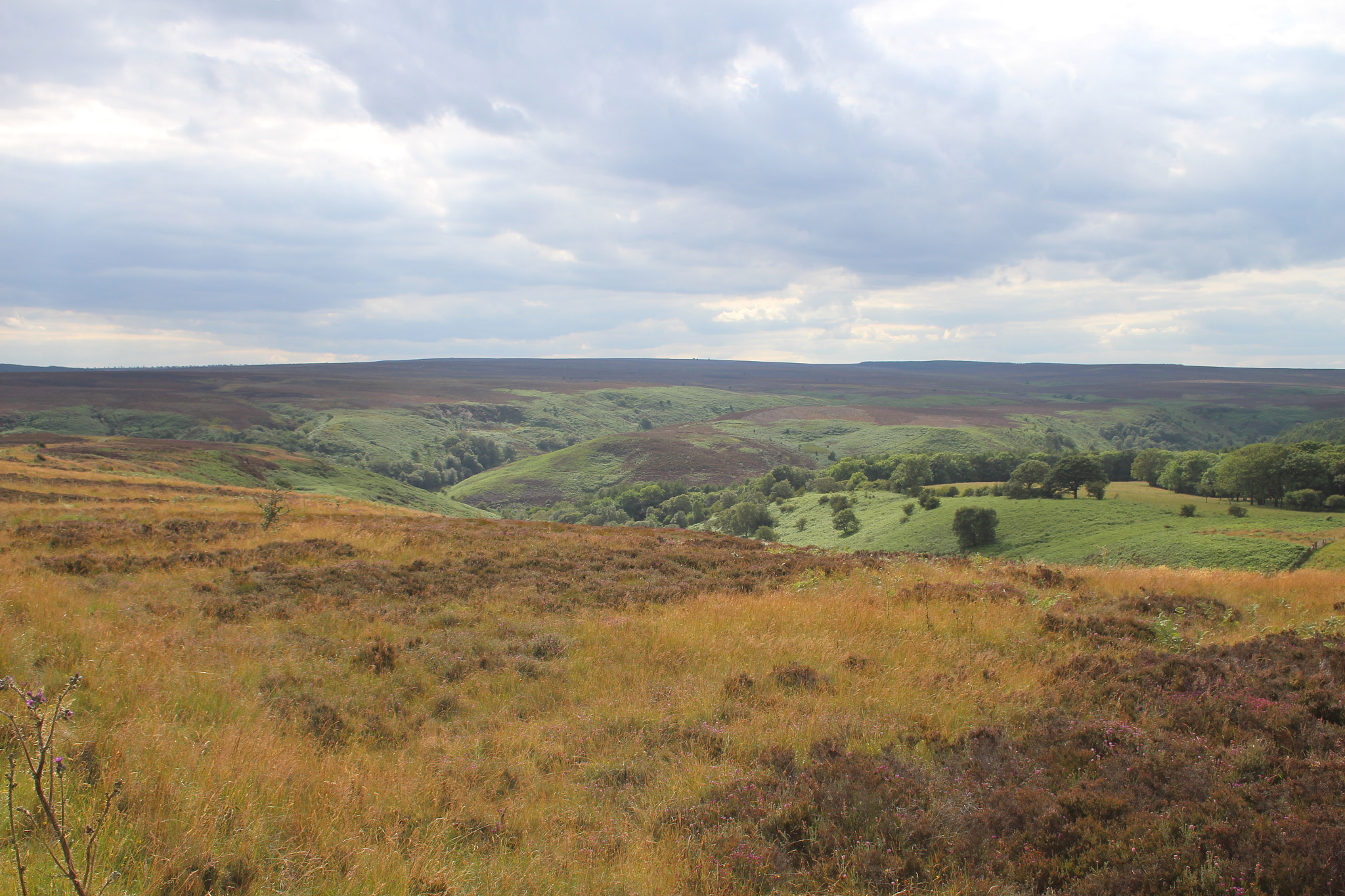 Canon EOS 650D (EOS Rebel T4i / EOS Kiss X6i) + Canon EF-S 18-55mm F3.5-5.6 sample photo. North york moors national park, england, uk photography