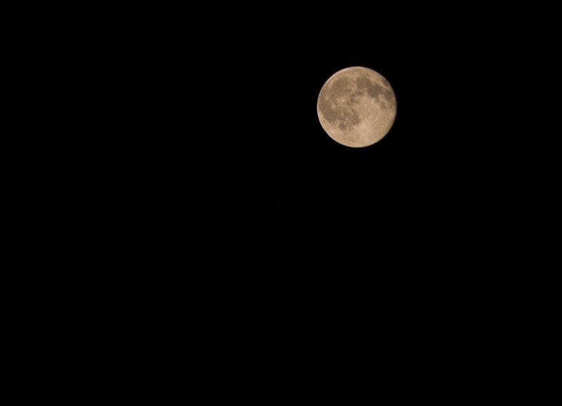Sigma 70-300mm F4-5.6 APO DG Macro sample photo. I see the moon photography