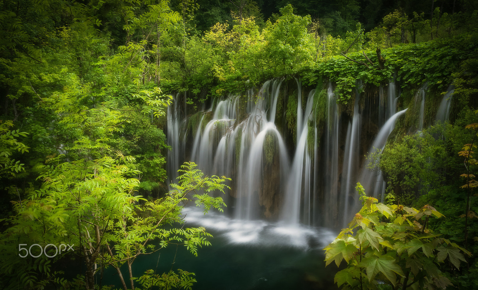 Panasonic Lumix DMC-G5 sample photo. Eden photography