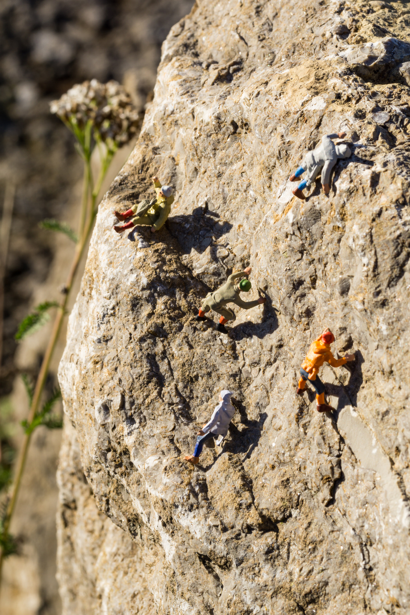 Sony a6000 + 105mm F2.8 sample photo. Miniaturwelt photography