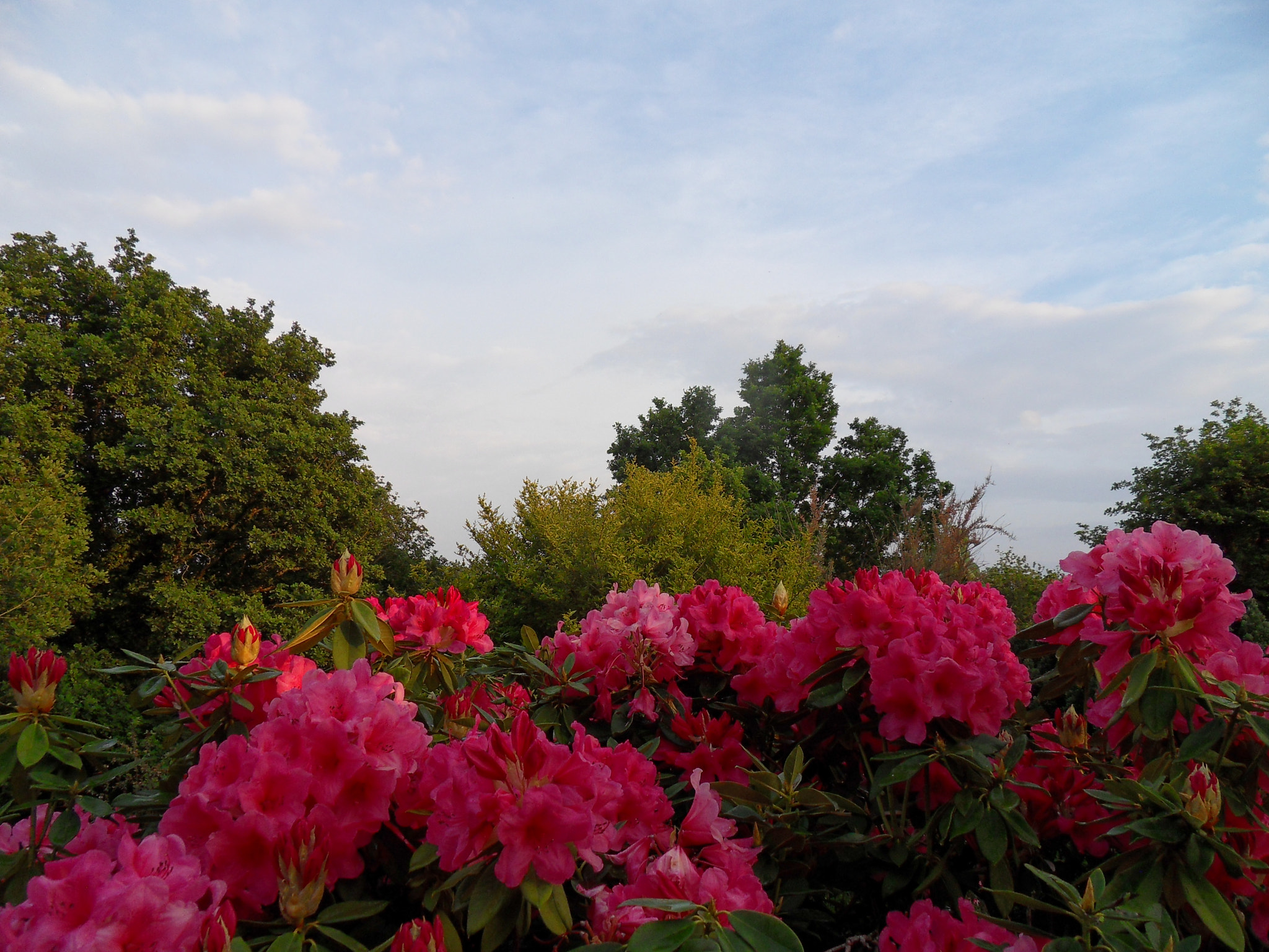 Samsung WB500, WB510 / VLUU WB500 /  HZ10W sample photo. Sky photography