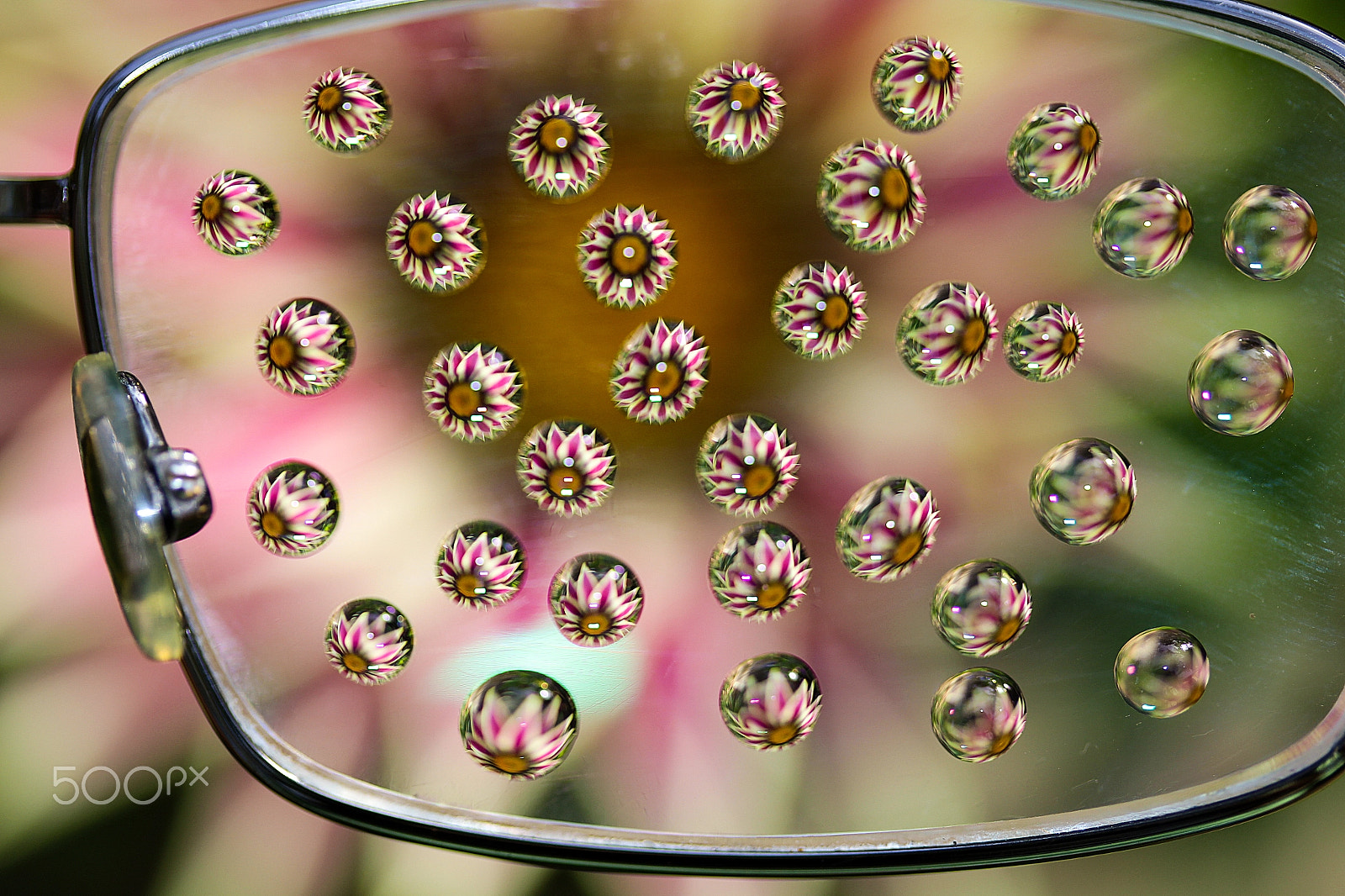 Canon EF-S 60mm F2.8 Macro USM sample photo. The dreamer's point of view photography