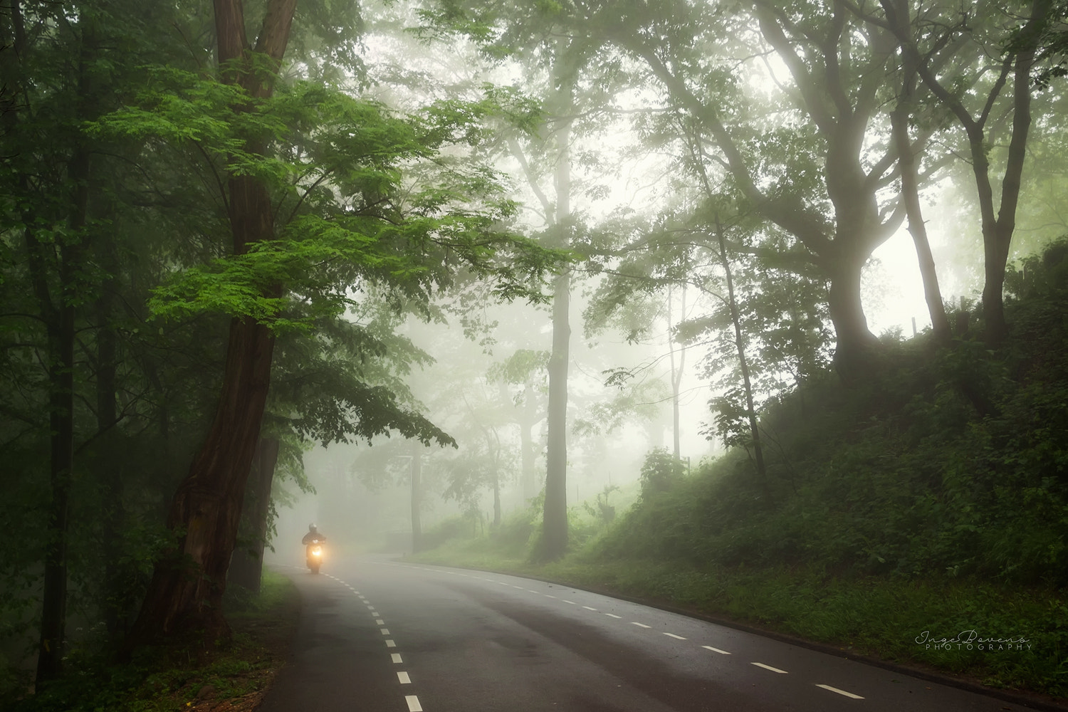 Nikon D3100 sample photo. Rider in the mist. photography