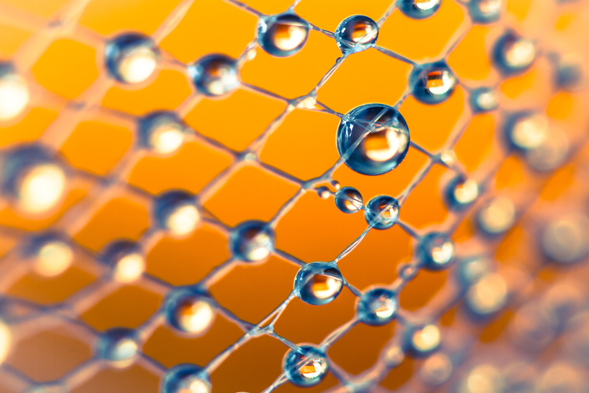 Water drops on a net