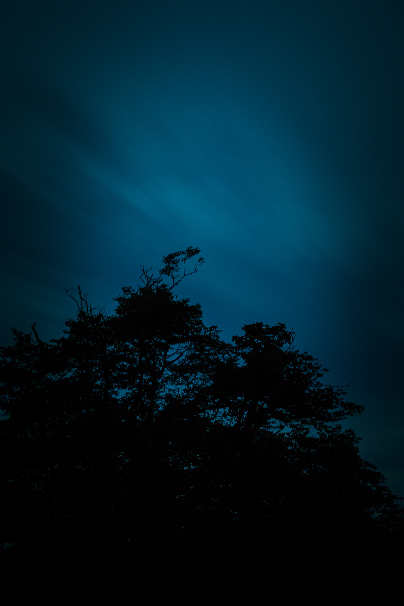 Canon EOS 760D (EOS Rebel T6s / EOS 8000D) + Sigma 35mm F1.4 DG HSM Art sample photo. Drowning photography