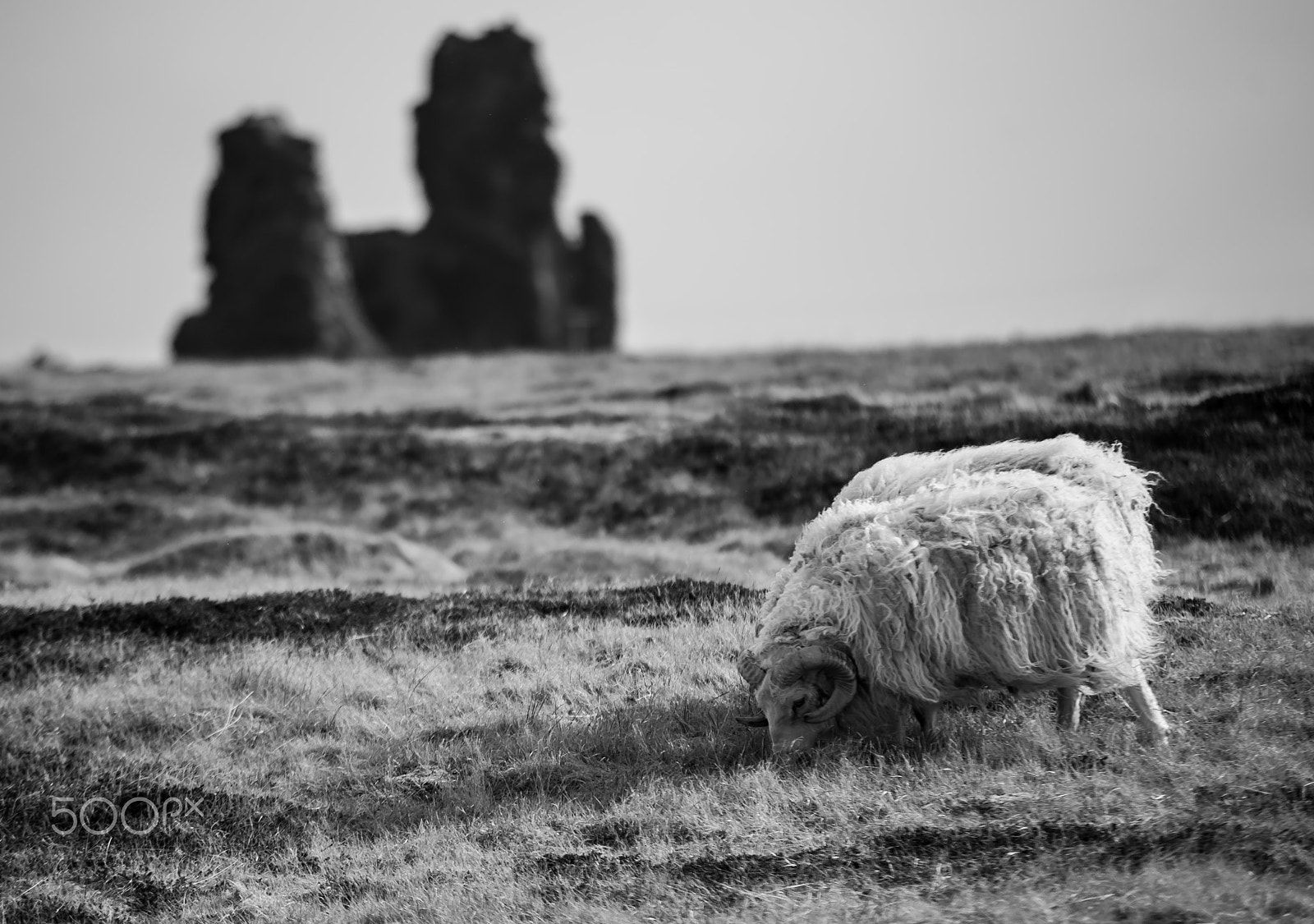 Sigma 70-200mm F2.8 EX DG Macro HSM II sample photo. Snaefellnes, iceland photography