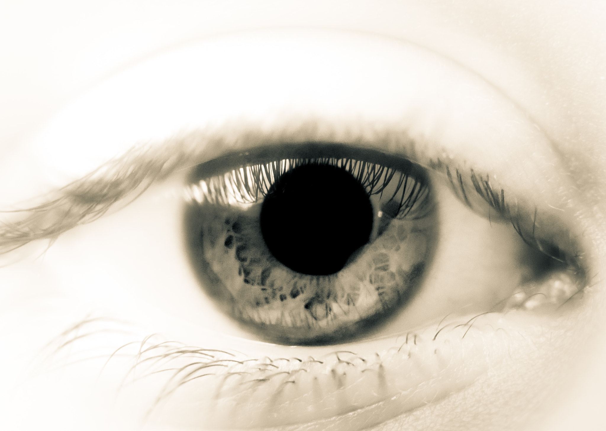 Canon EF 50mm F1.4 USM sample photo. Eye see you photography