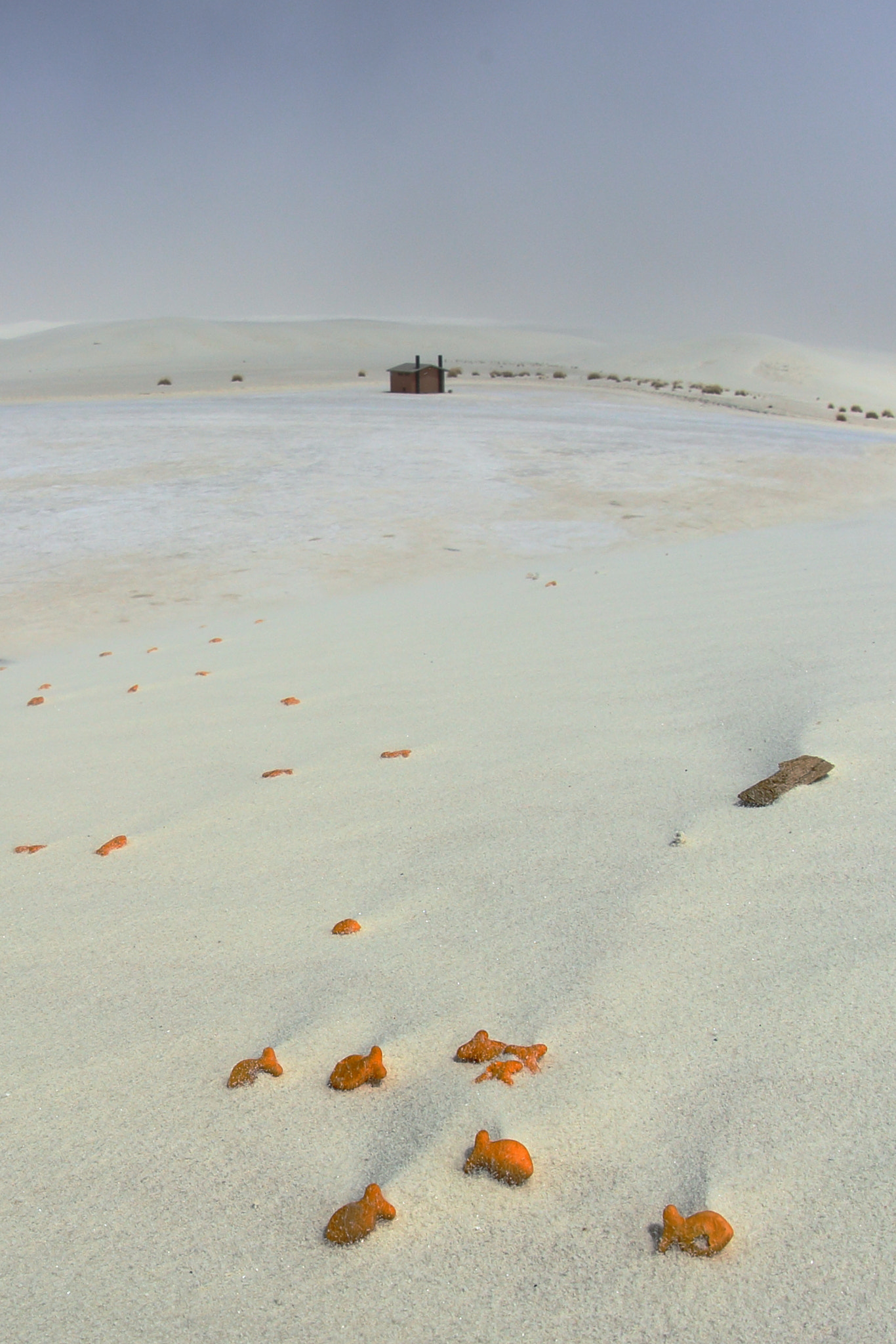 Canon EOS 6D + Sigma 15mm f/2.8 EX Fisheye sample photo. Fish in the desert photography