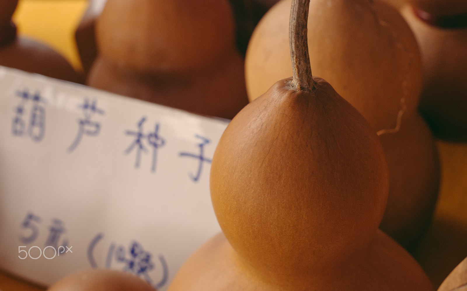 Nikon D80 + Nikon AF-S Nikkor 50mm F1.4G sample photo. Chinese bottle gourds photography
