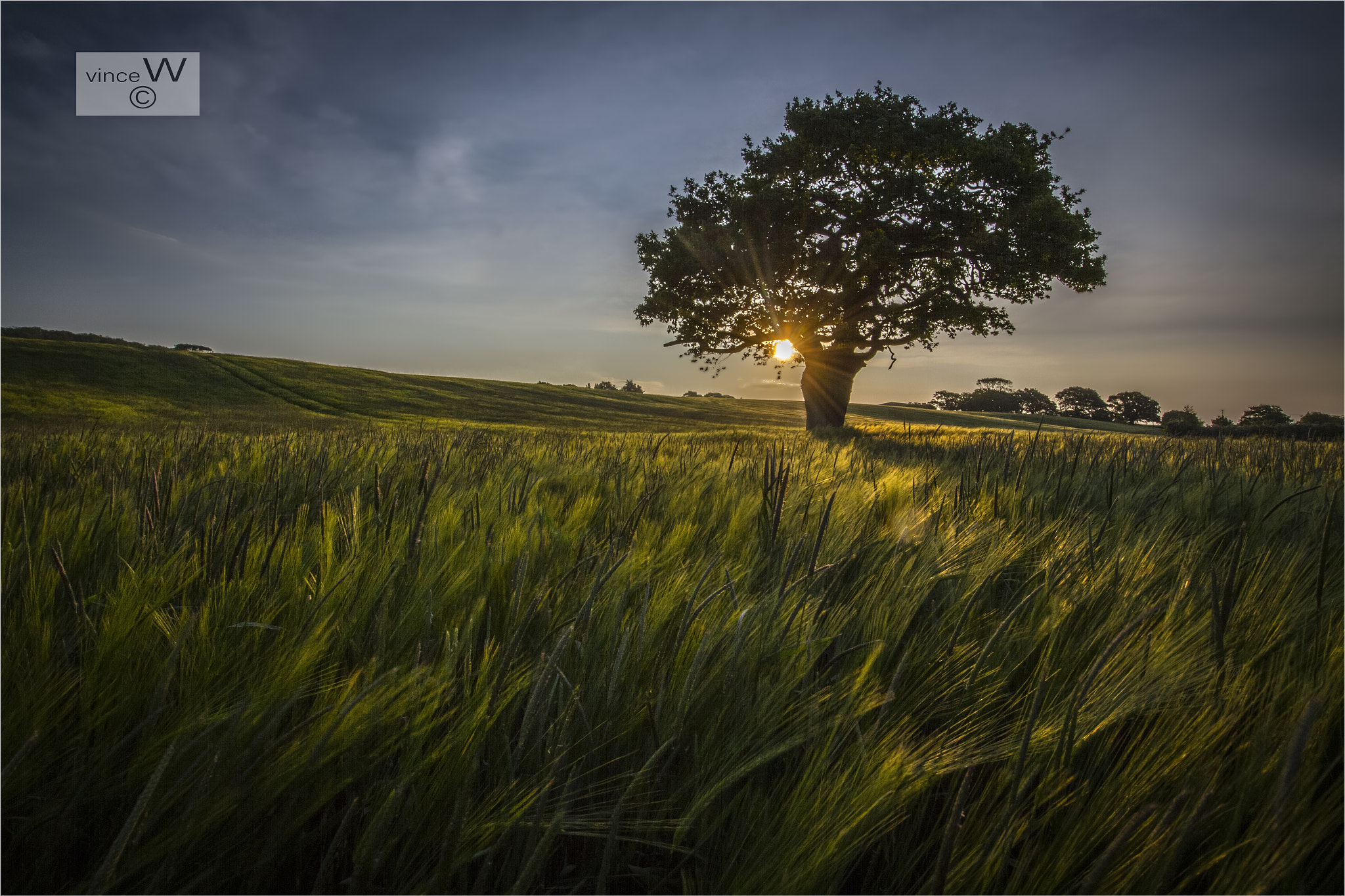 Canon EF-S 10-18mm F4.5–5.6 IS STM sample photo. Evening light. photography