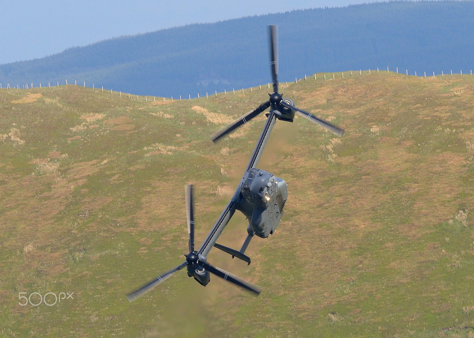 Nikon D800E + Sigma 300mm F2.8 APO EX DG HSM sample photo. V22 osprey - knife71 photography