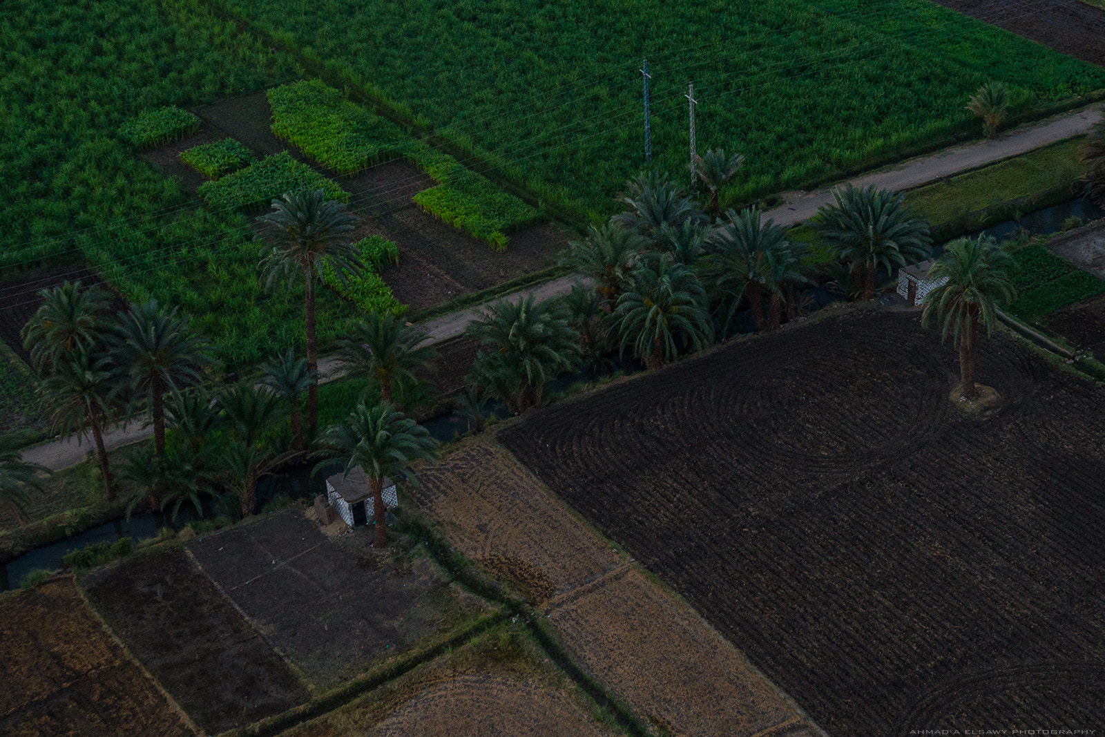 Sony SLT-A99V sample photo. Luxor farms photography