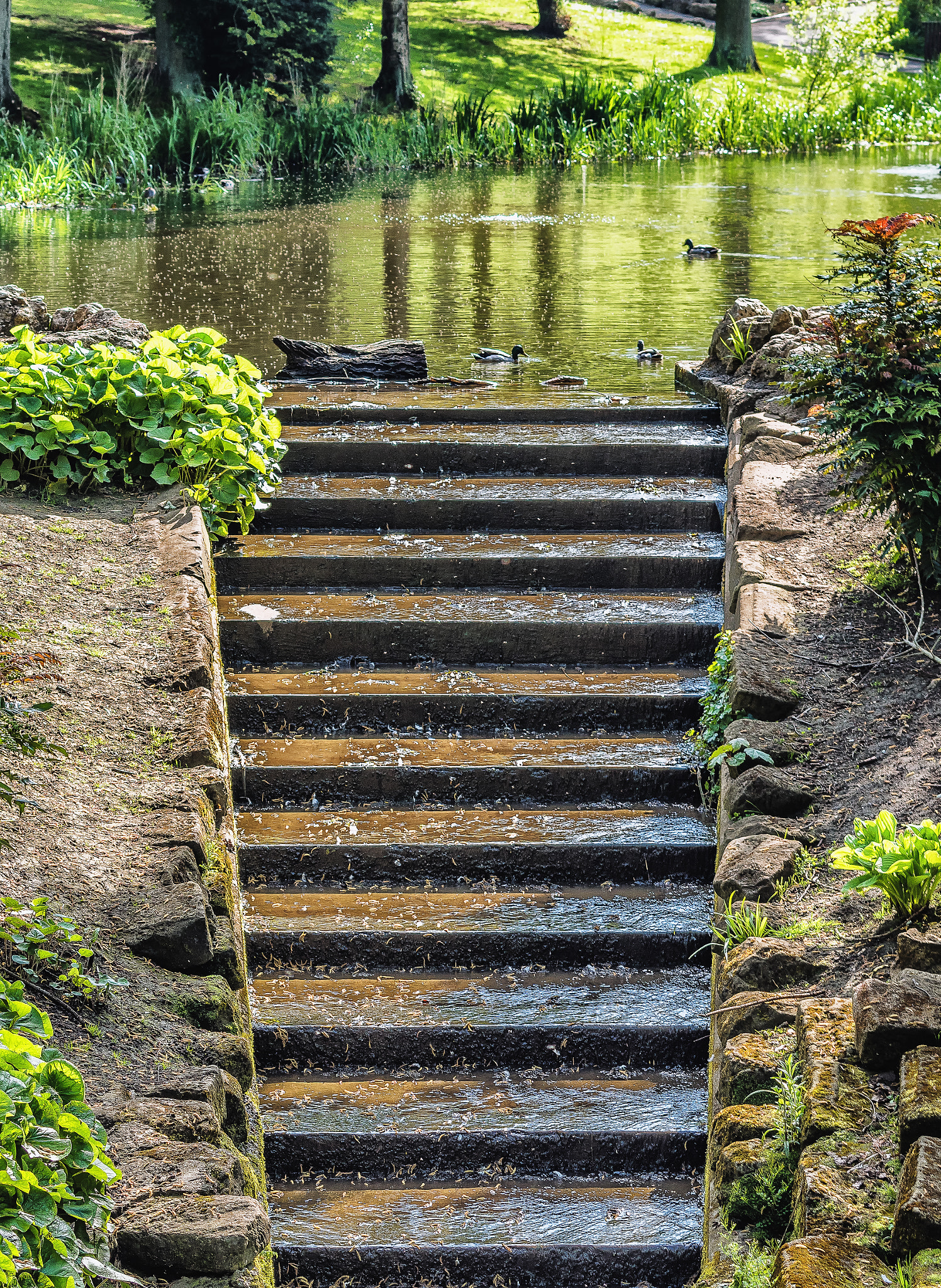 Pentax K-S1 + Sigma sample photo.  water staircase  photography