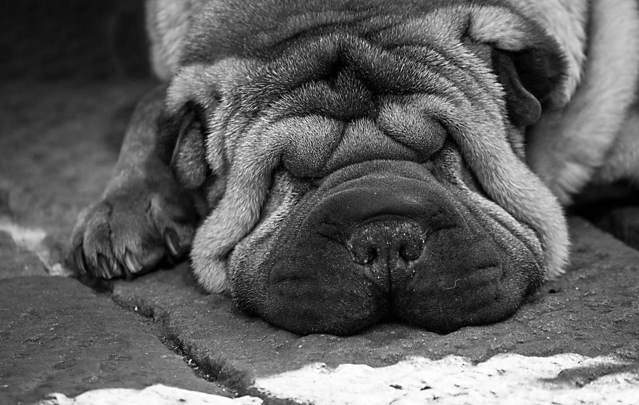Canon EOS 1000D (EOS Digital Rebel XS / EOS Kiss F) sample photo. Between wrikles photography