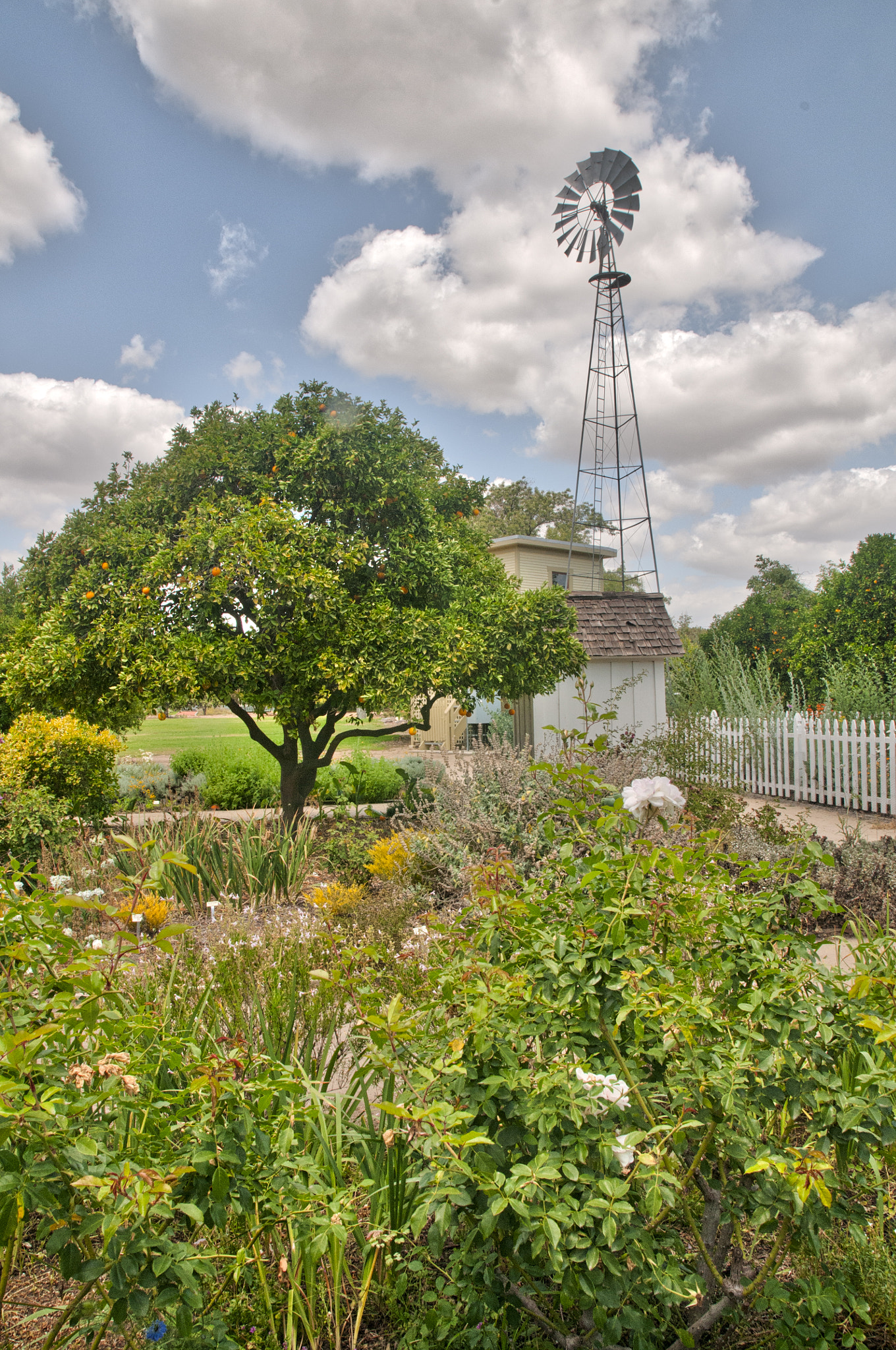 Nikon D300S sample photo. Windmill photography