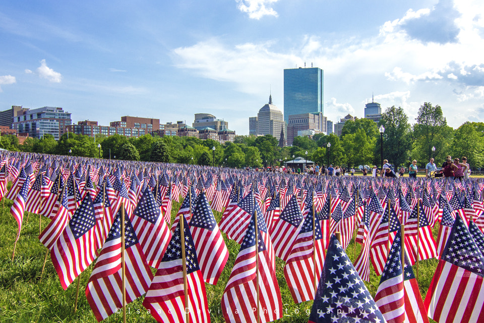 Canon EOS 550D (EOS Rebel T2i / EOS Kiss X4) sample photo. (37000) garden of flags photography