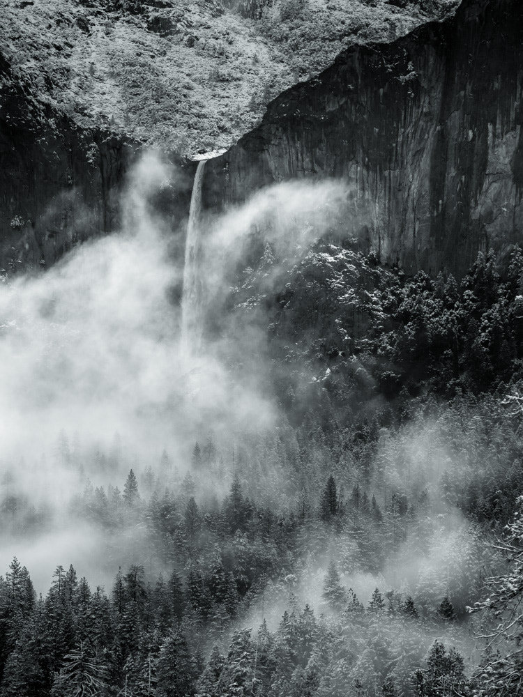Olympus OM-D E-M10 sample photo. Misty fall photography