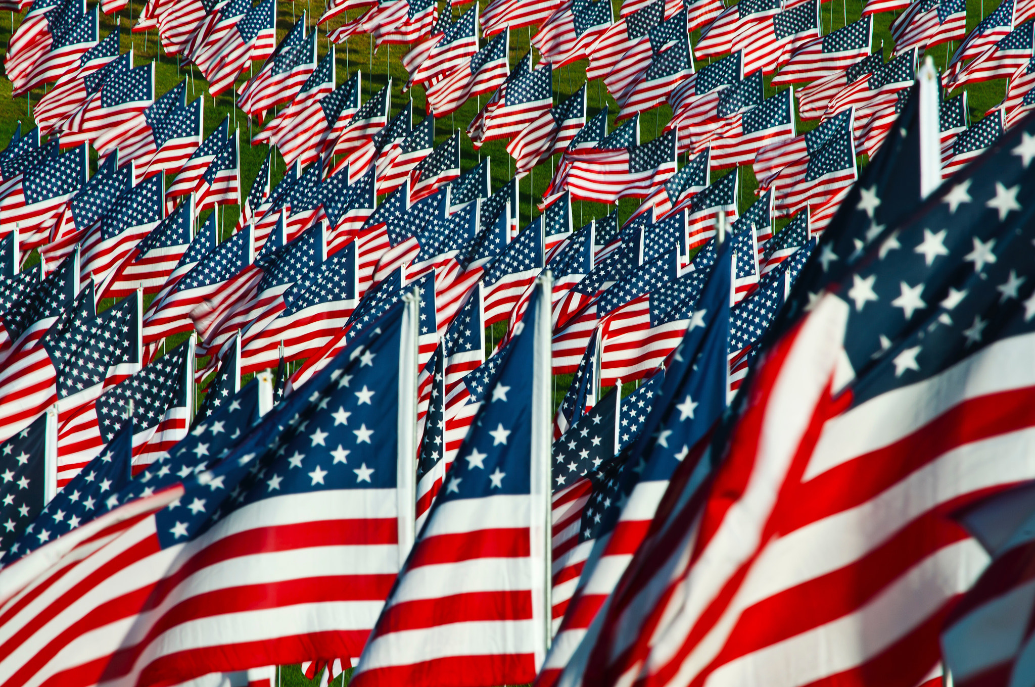 Nikon D300S sample photo. To all those who gave all photography