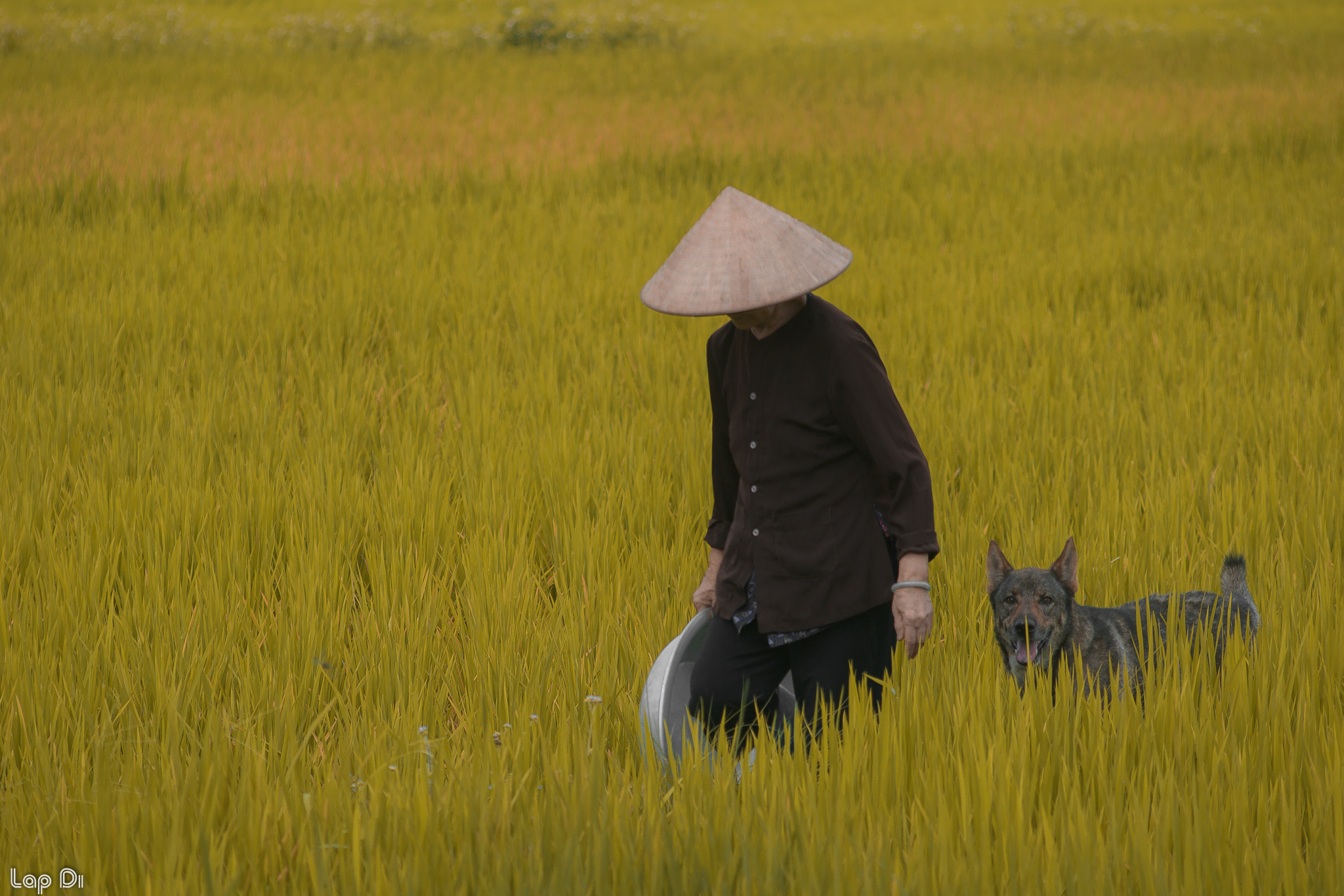 AF Zoom-Nikkor 35-135mm f/3.5-4.5 N sample photo