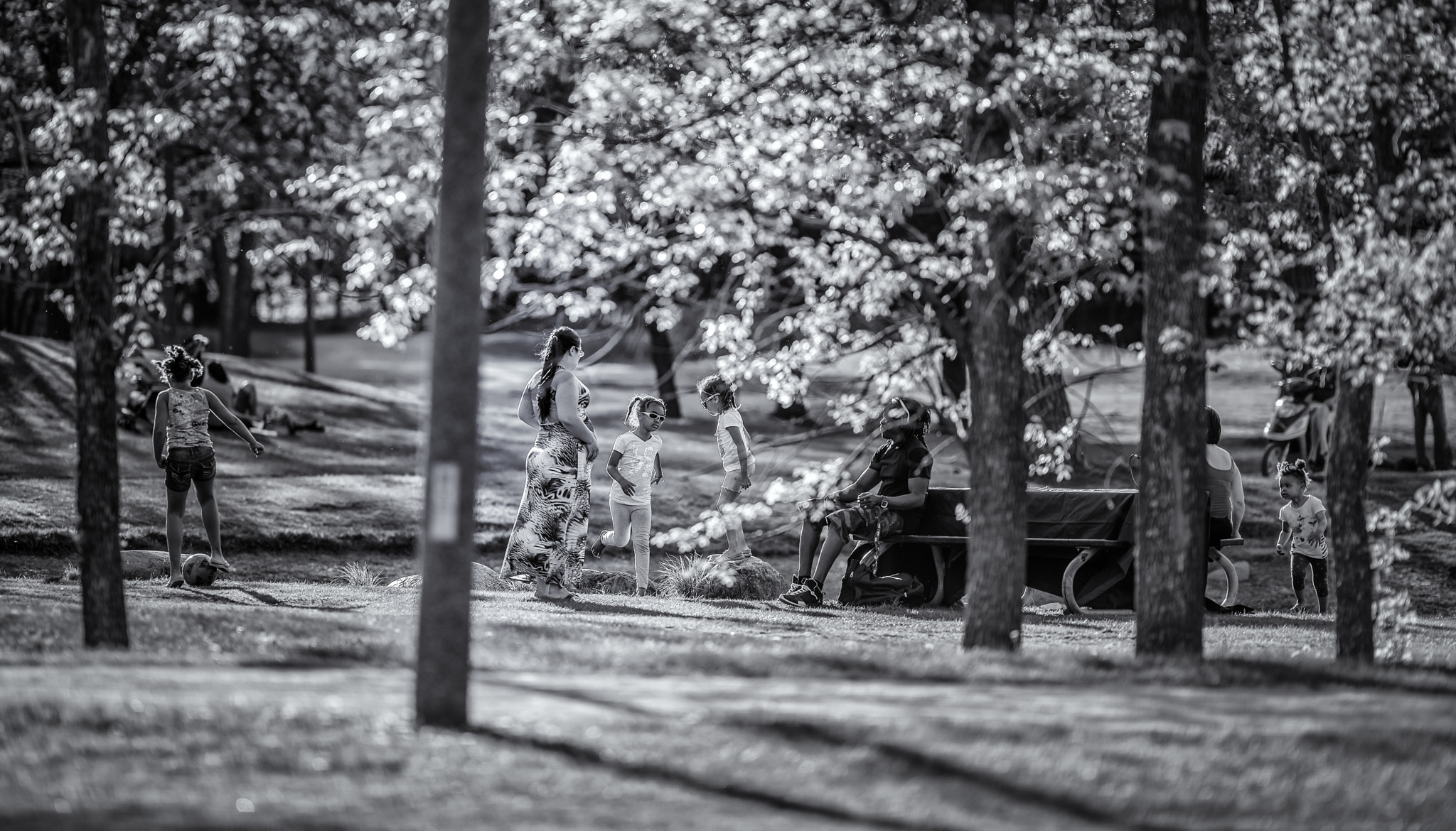 Nikon AF-S Nikkor 200mm F2G ED-IF VR sample photo. Black an white photography
