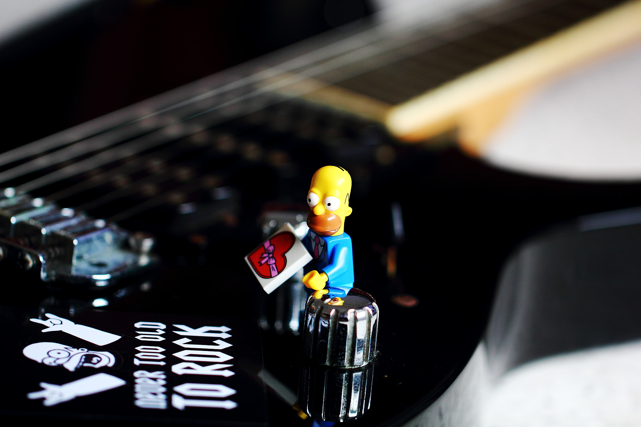 Canon EF 100mm F2.8L Macro IS USM sample photo. Oh homie! photography
