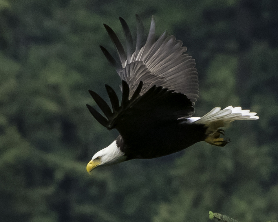 Sony a7R II + Sony 70-400mm F4-5.6 G SSM II sample photo. In flight photography