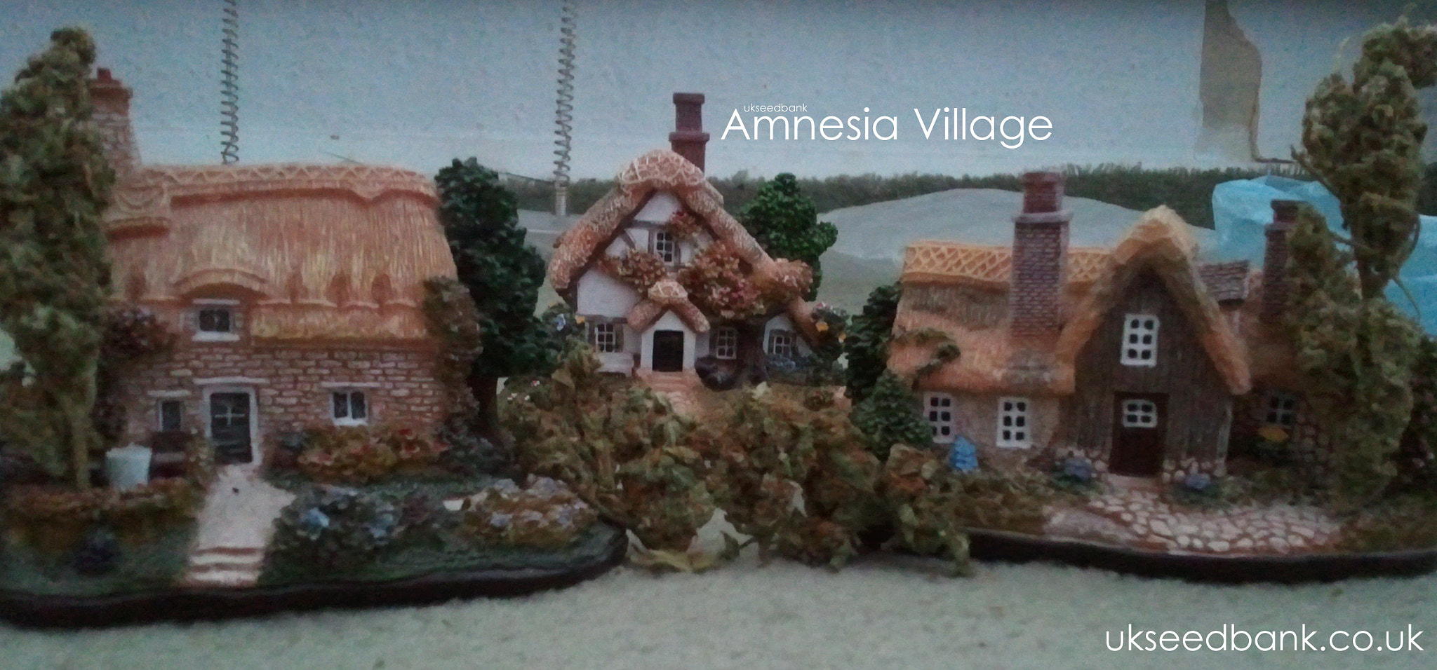 Samsung Galaxy S sample photo. Amnesia village photography