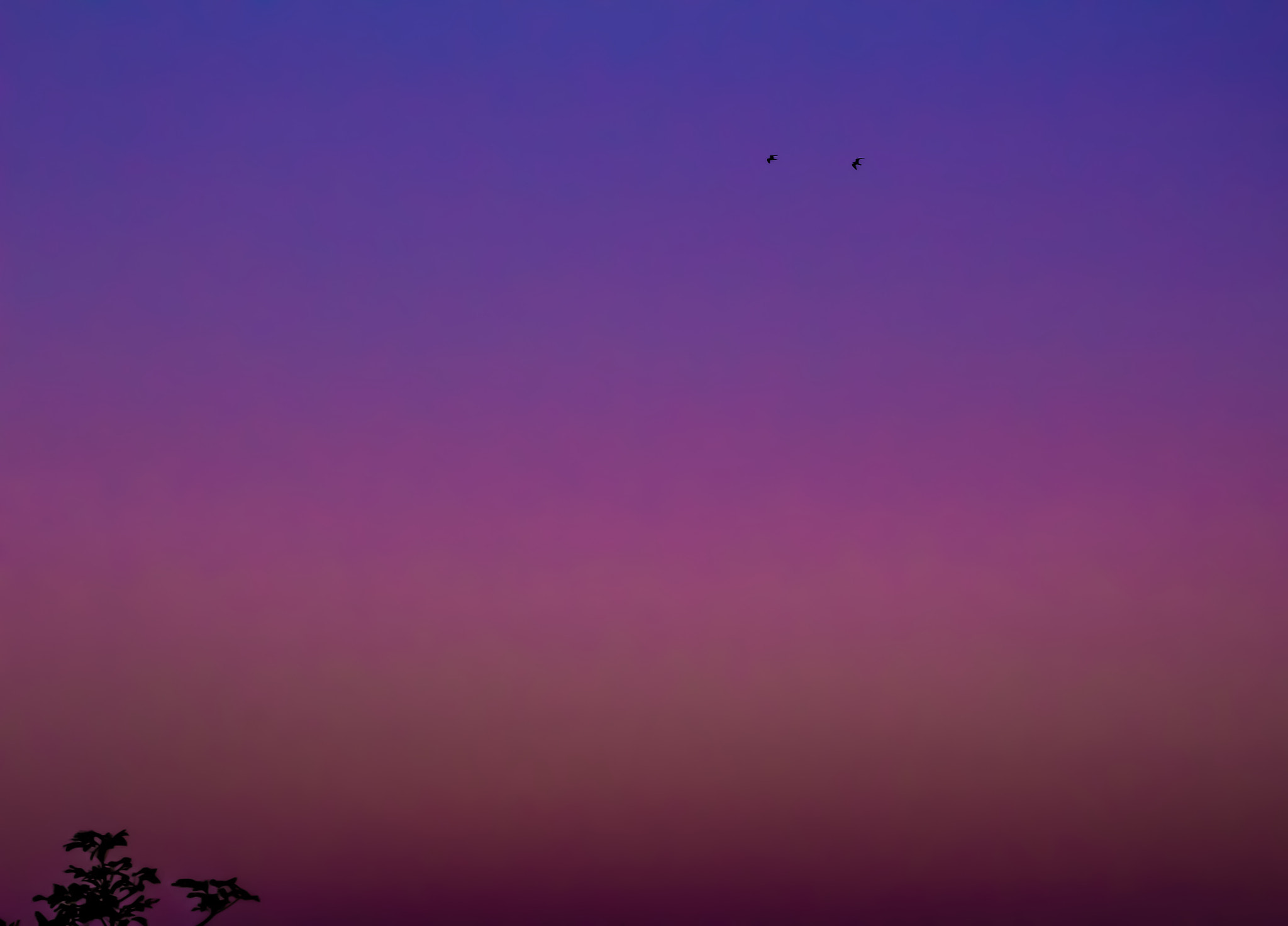 Canon EF 75-300mm f/4-5.6 USM sample photo. "the feeling" photography