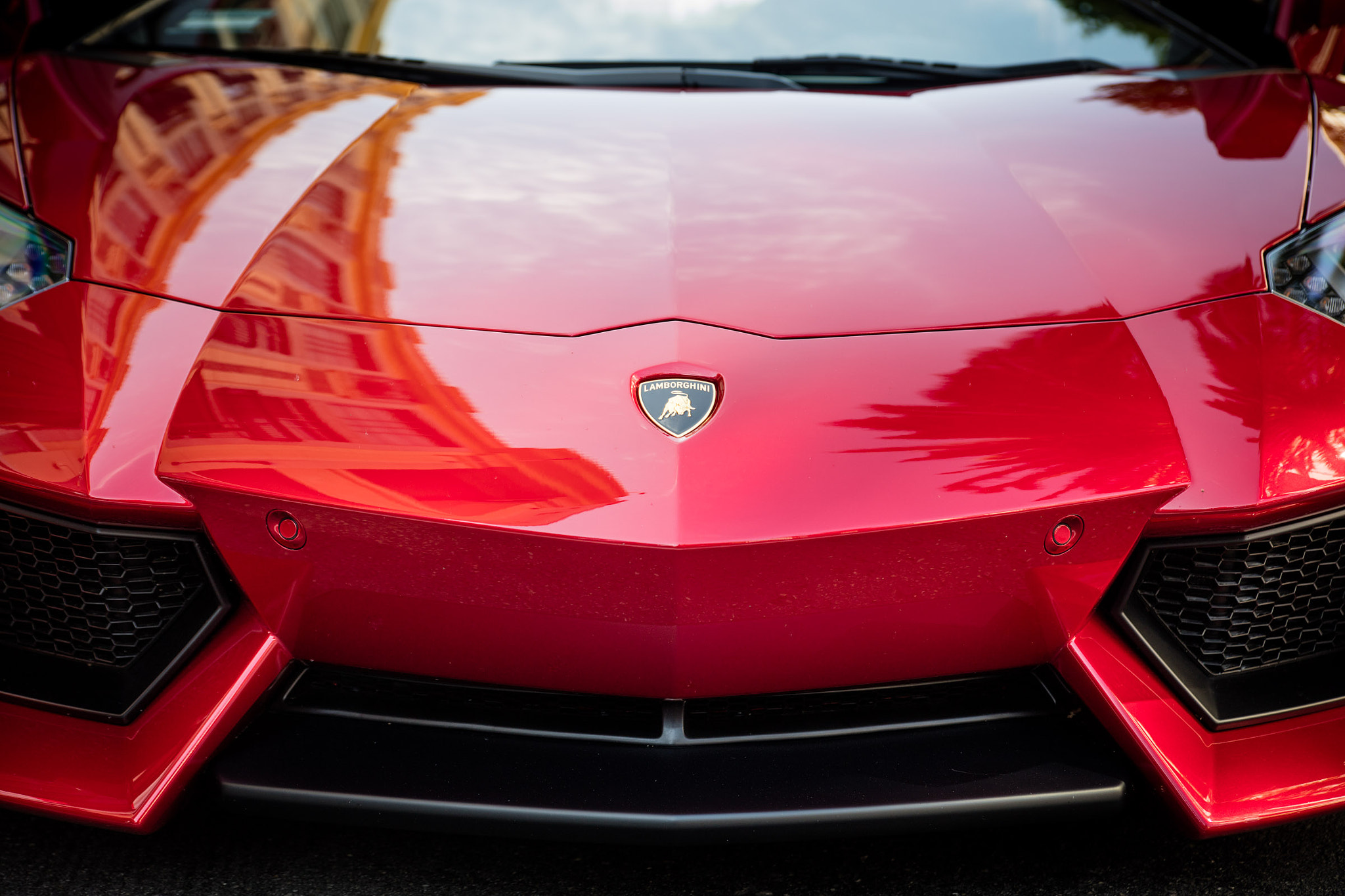 Canon EOS 5DS + Sigma 24-70mm F2.8 EX DG Macro sample photo. Lambo photography