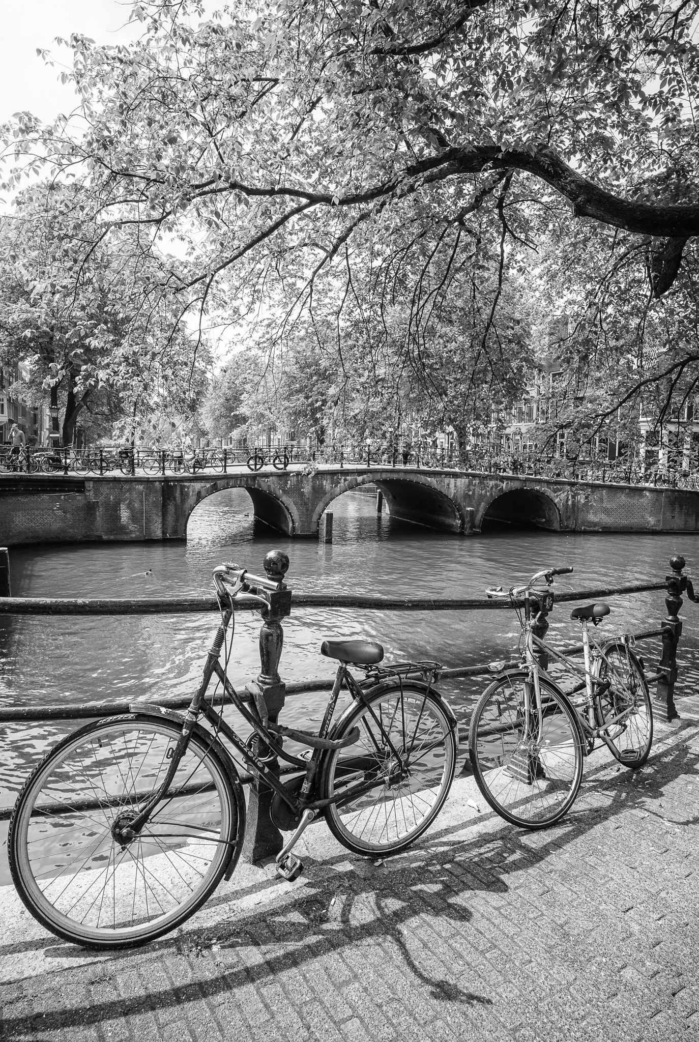 Leica Super-Elmar-M 21mm F3.4 ASPH sample photo. Two bicycles in amsterdam photography