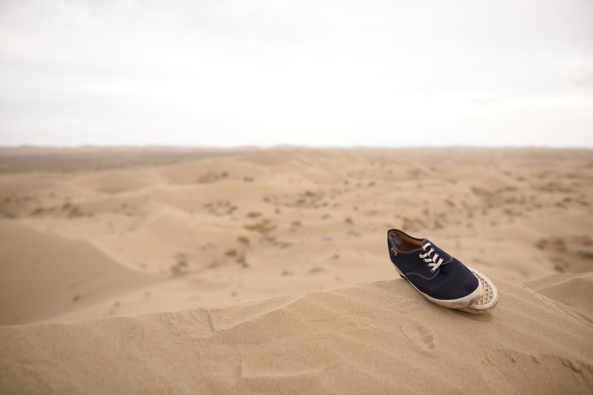 Nikon D750 + Nikon AF-S Nikkor 24mm F1.4G ED sample photo. Let a little break photography