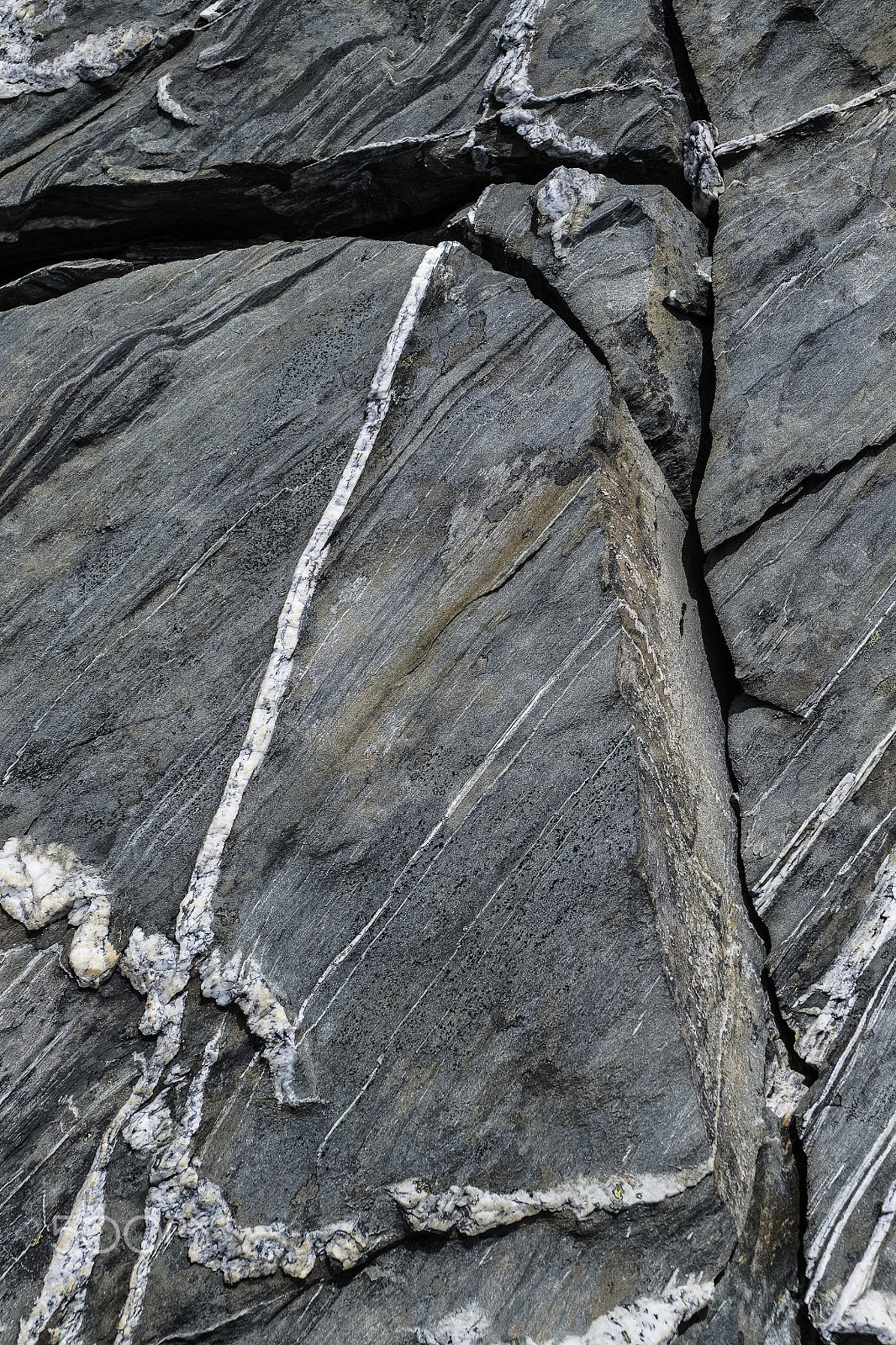 Fujifilm XC 16-50mm F3.5-5.6 OIS II sample photo. The remarkables photography