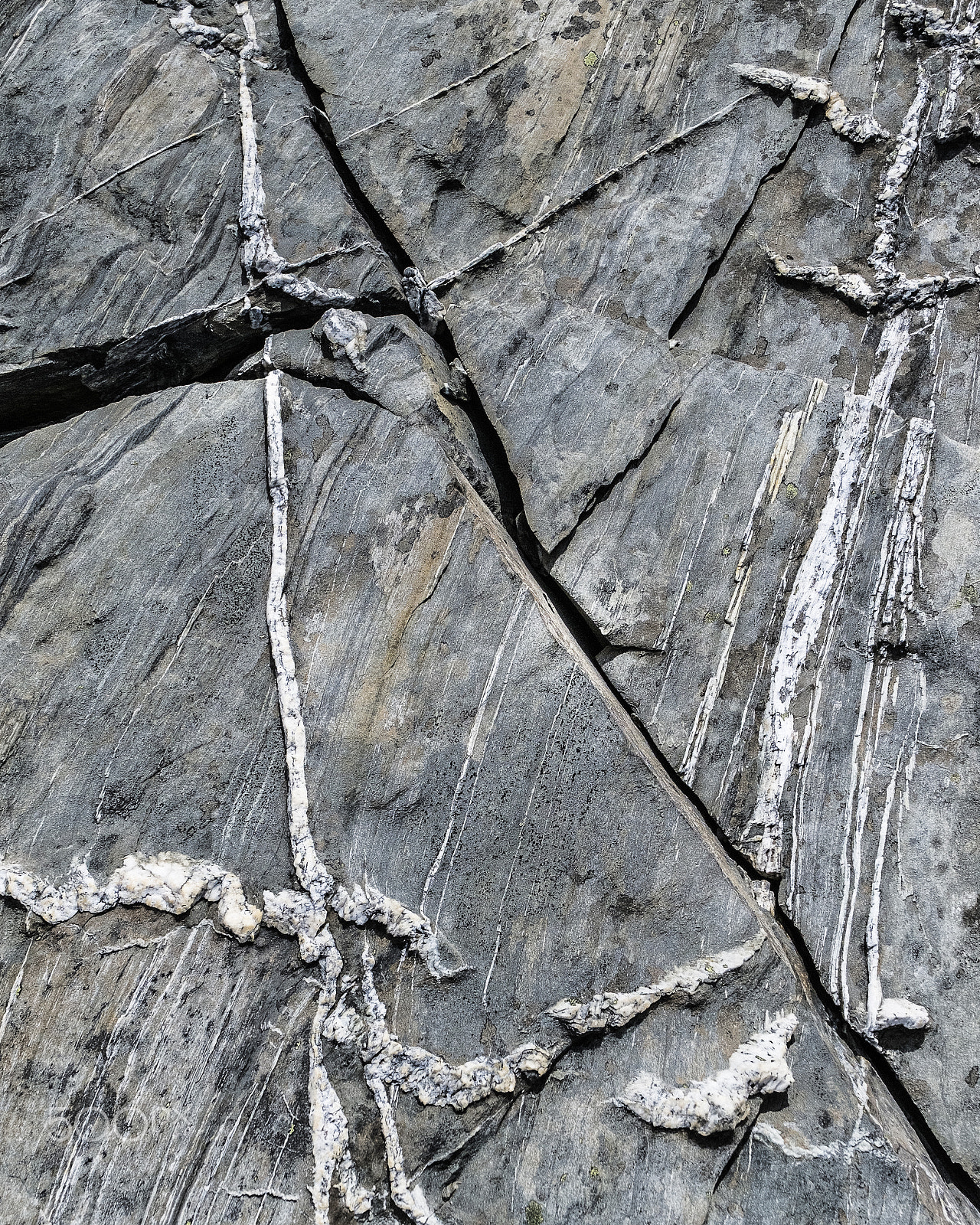 Fujifilm XC 16-50mm F3.5-5.6 OIS II sample photo. The remarkables photography