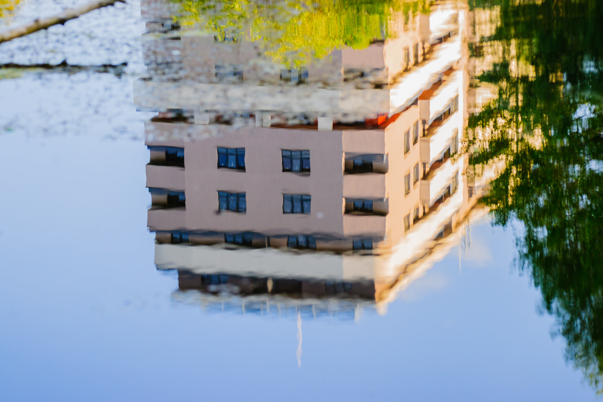 Sony Alpha DSLR-A850 + Sony 70-400mm F4-5.6 G SSM sample photo. Reflections in the pond. photography