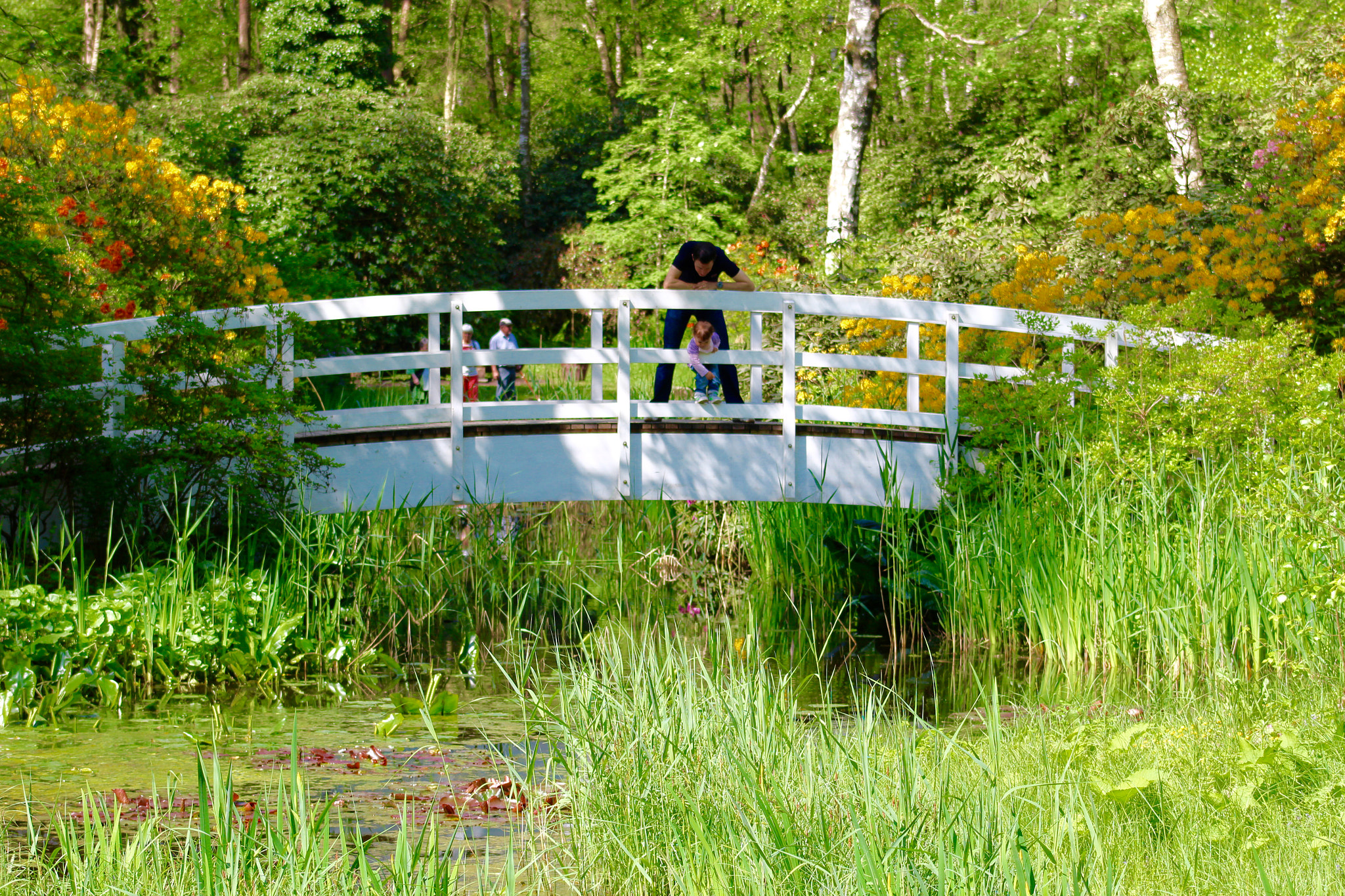 Canon EF75-300mm f/4-5.6 sample photo