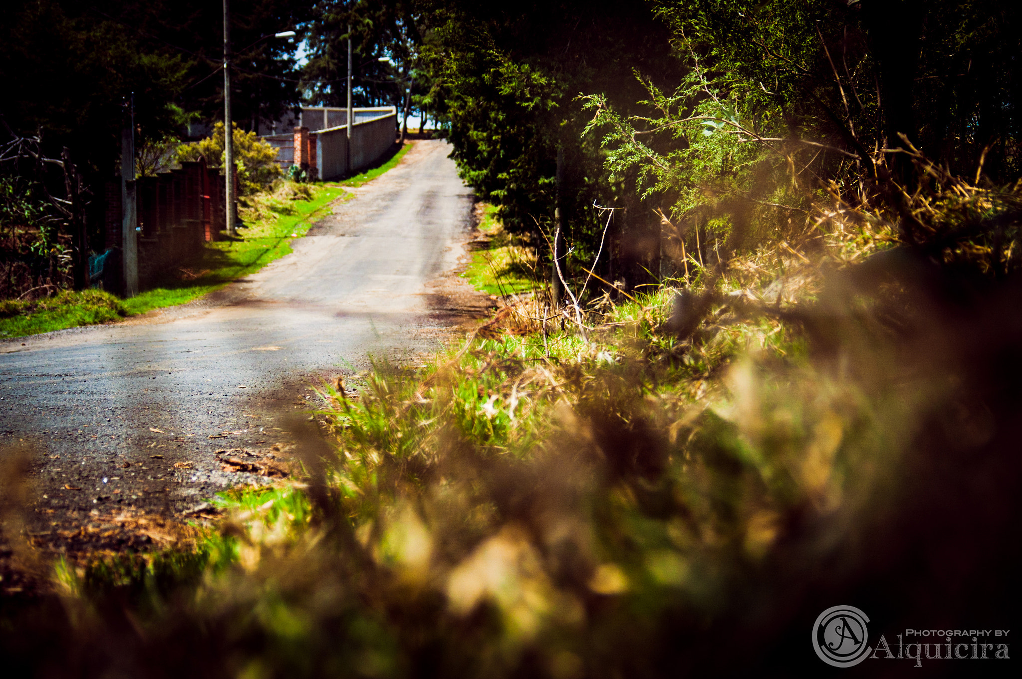 AF Zoom-Nikkor 28-80mm f/3.3-5.6G sample photo. Anda y ve.jpg photography