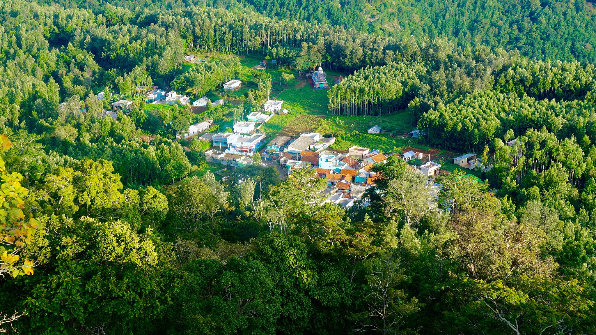 Sony Alpha a3000 + Tamron 18-200mm F3.5-6.3 Di III VC sample photo. Forest village (yercaud) photography