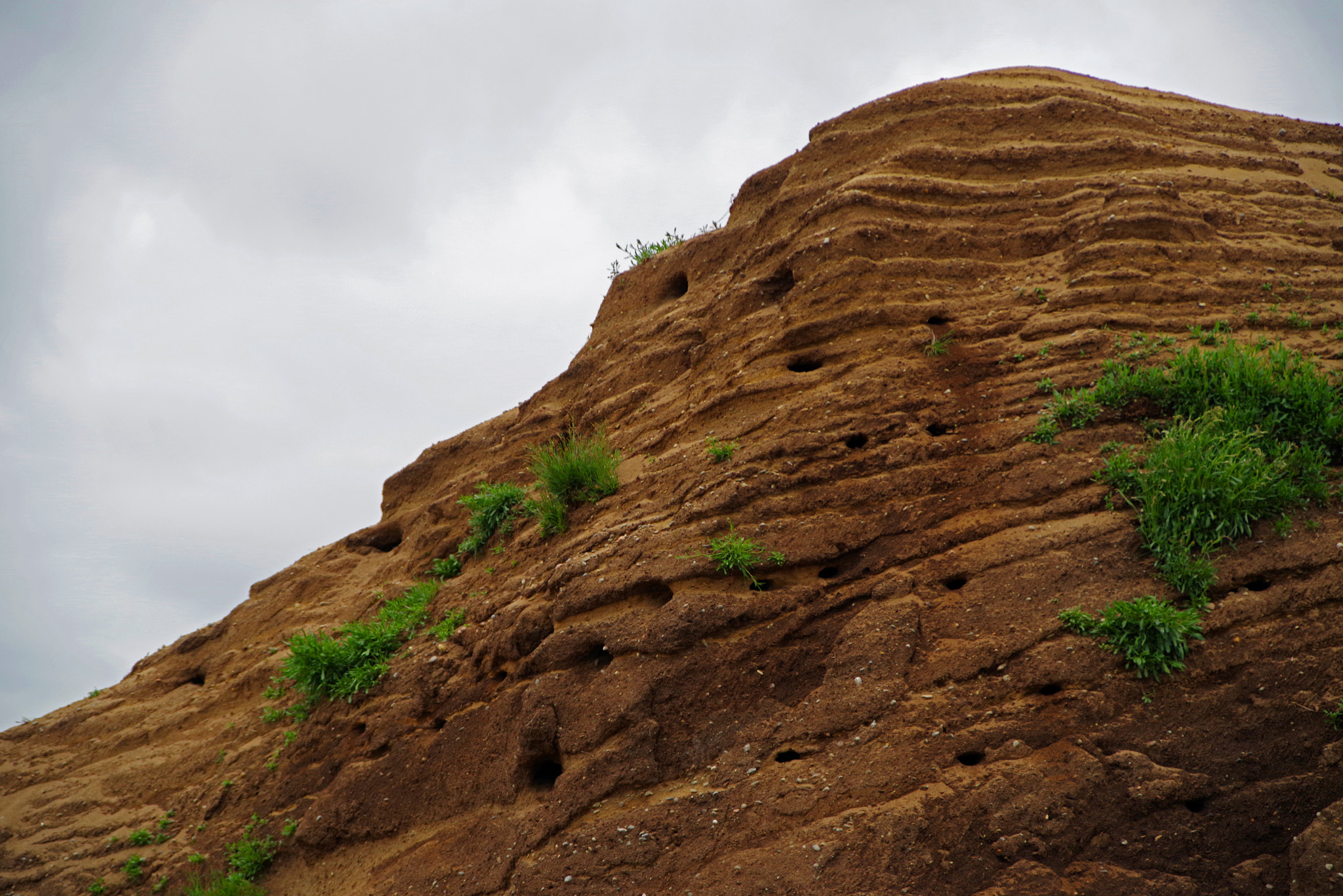 Pentax K-1 sample photo. Home of the swallows photography