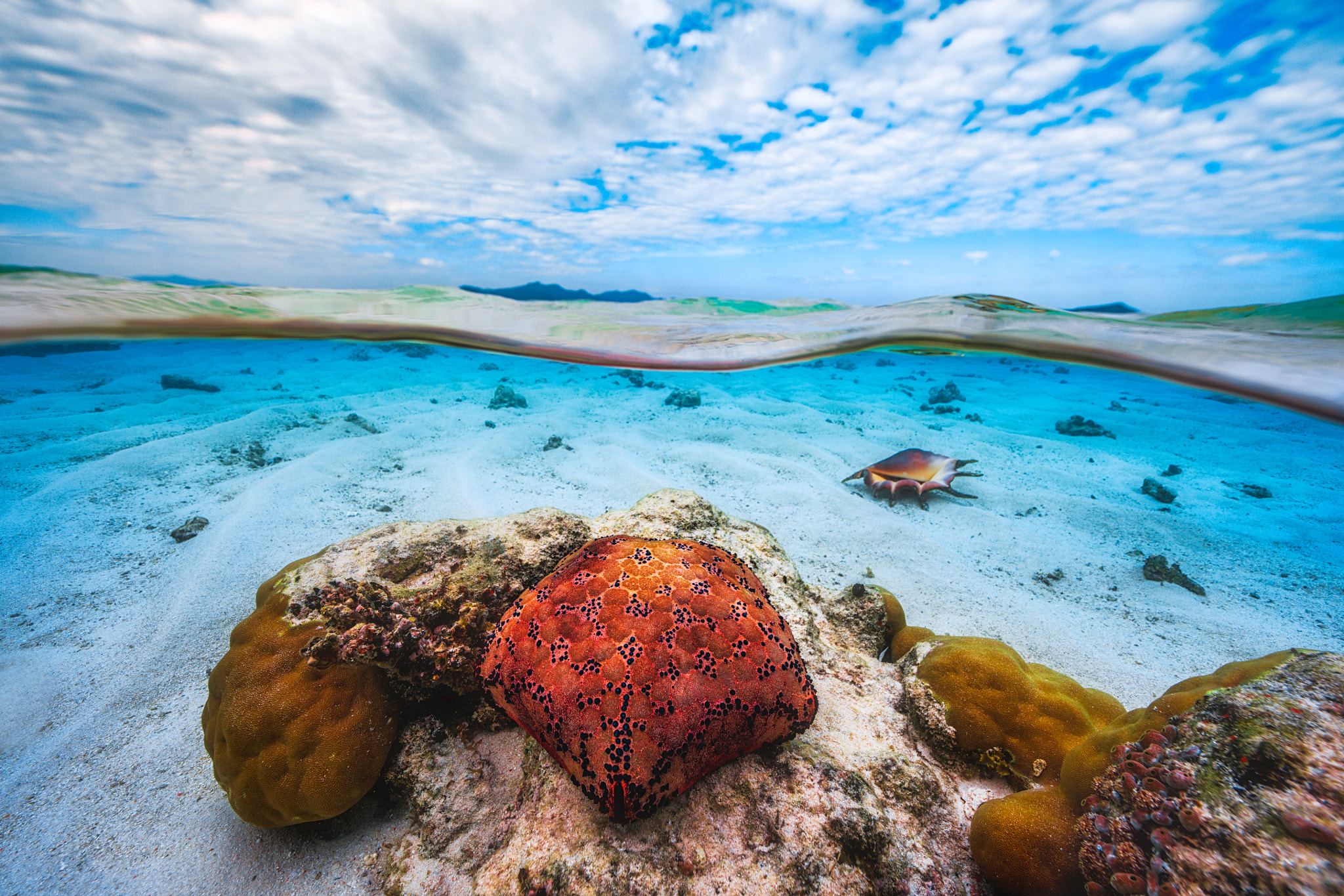 Canon EF 14mm F2.8L II USM sample photo. Mid air mid water in the lagoon. photography